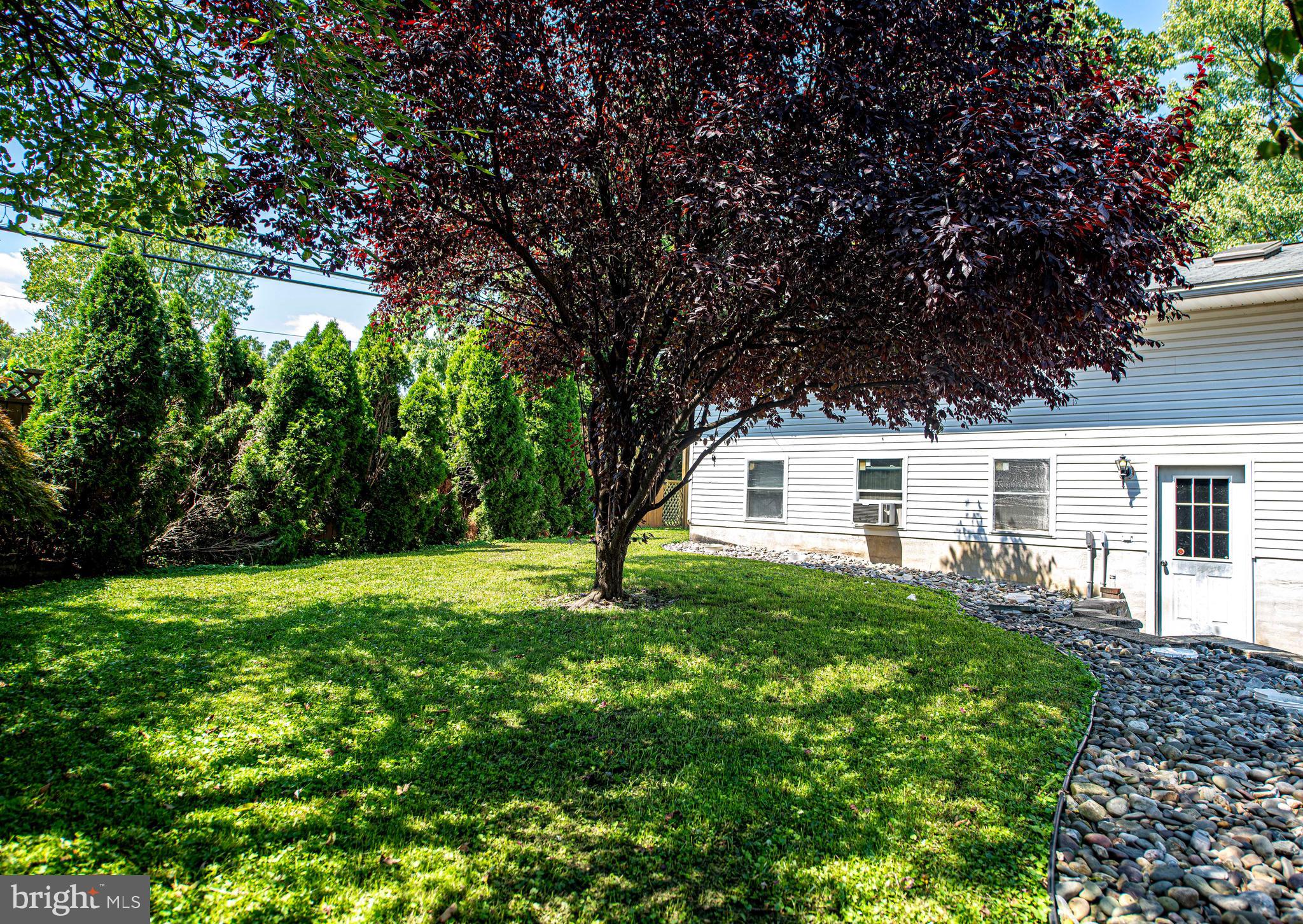 BRAEMAR - Residential