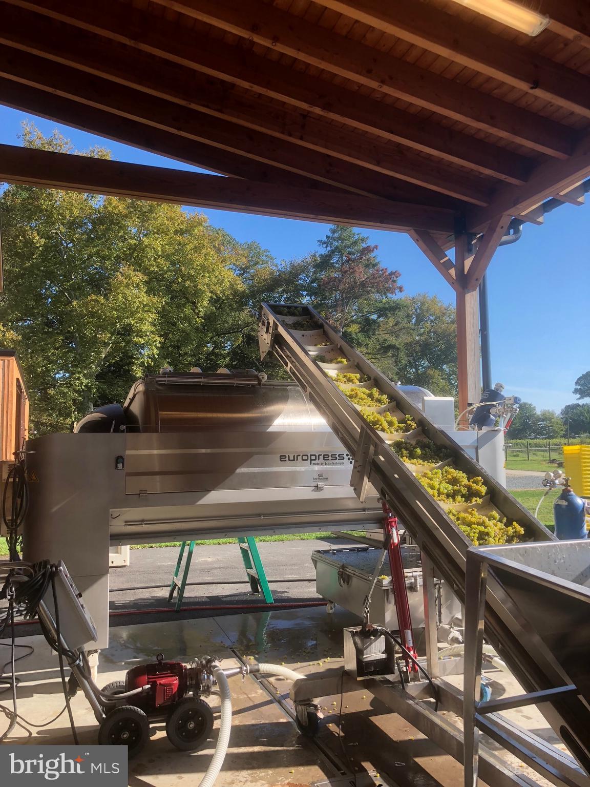 BOHEMIA MANOR - Farm