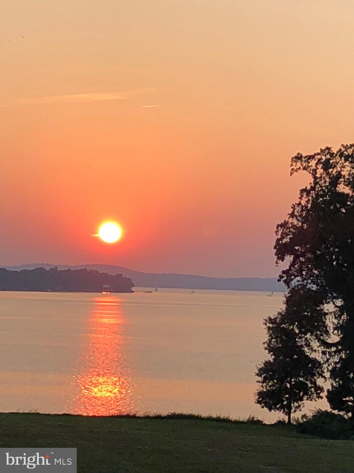 BOHEMIA MANOR - Farm