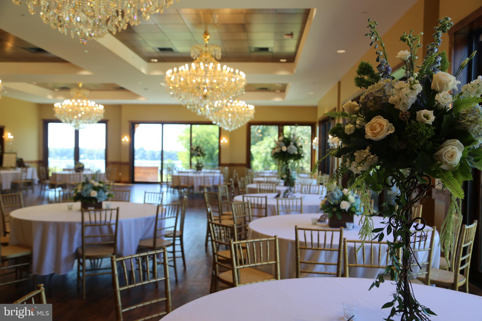 BOHEMIA MANOR - Farm