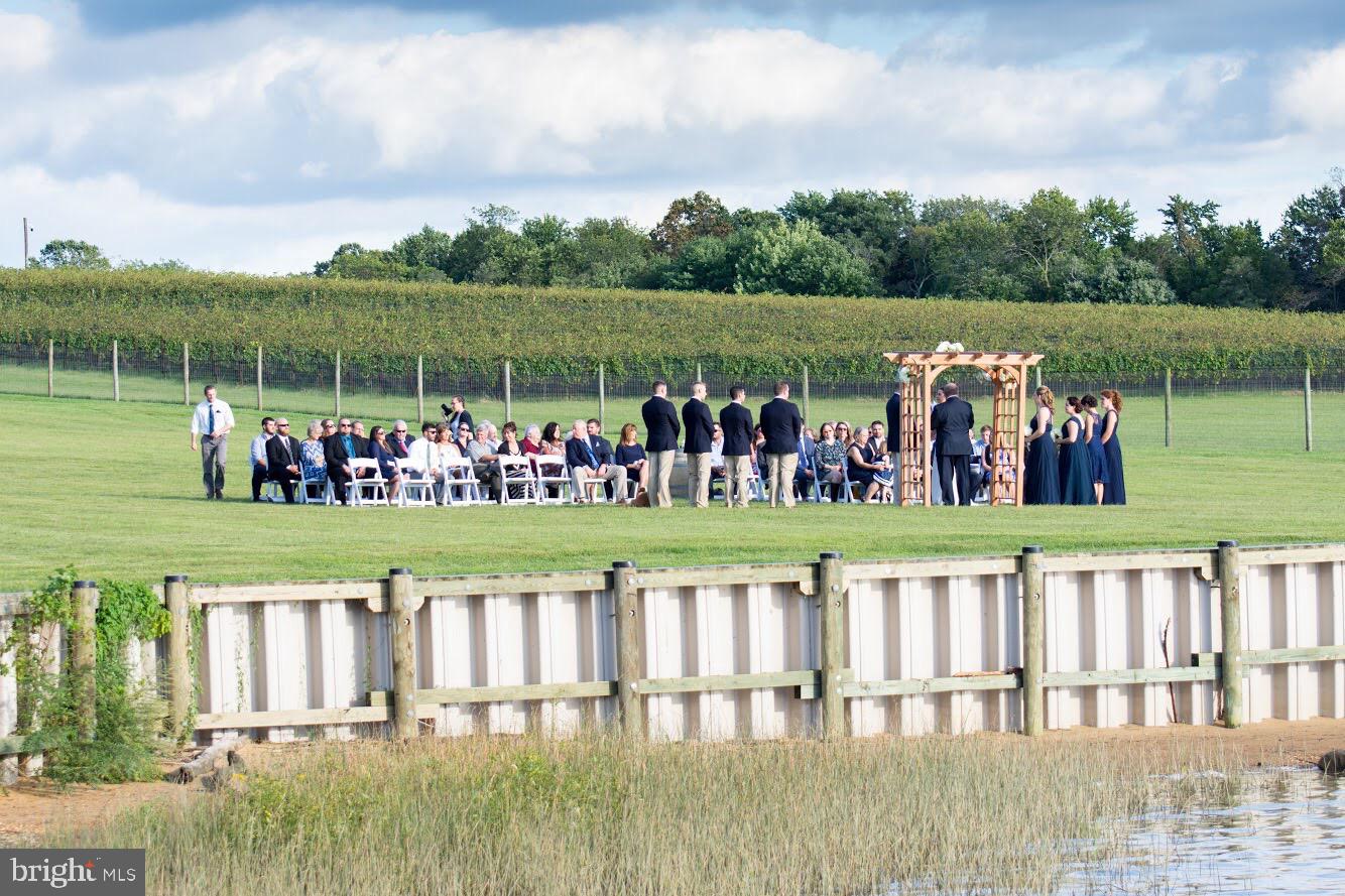 BOHEMIA MANOR - Farm