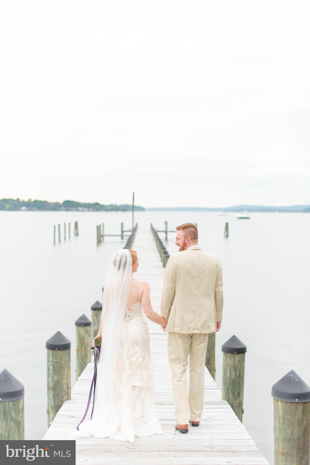 BOHEMIA MANOR - Farm