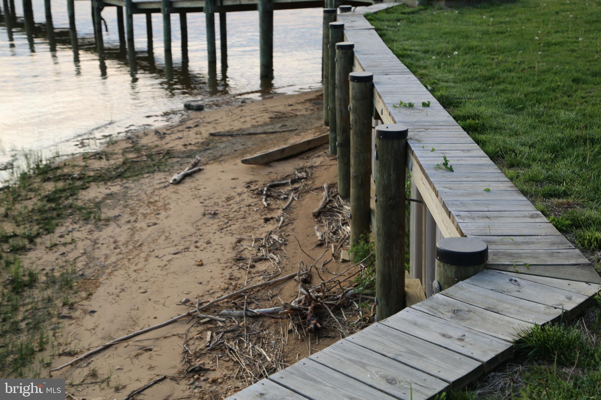 BOHEMIA MANOR - Farm