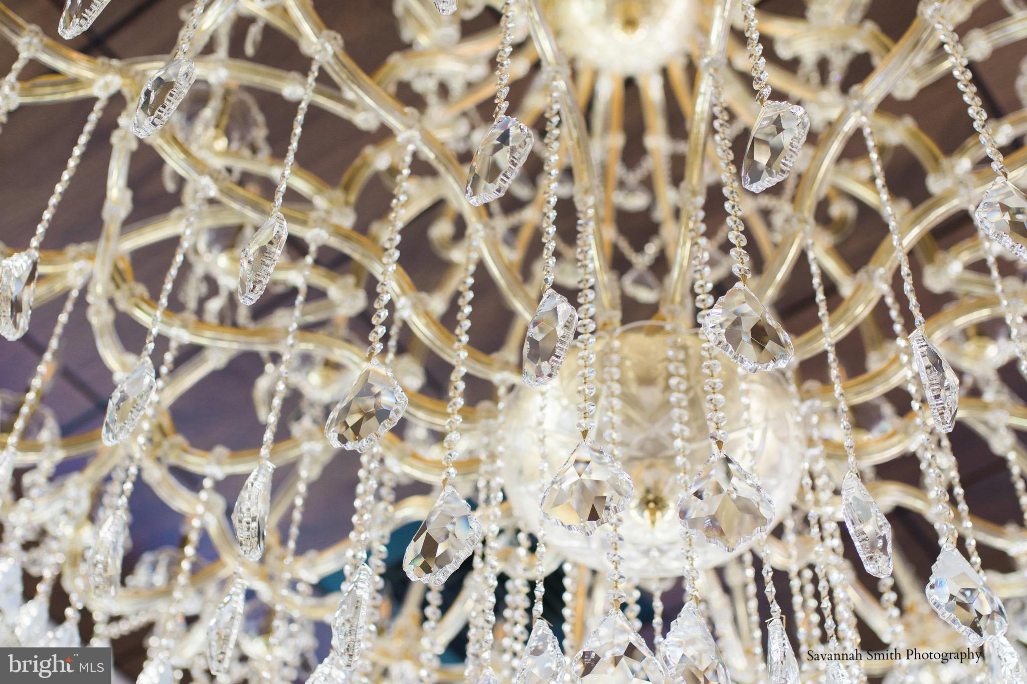 BOHEMIA MANOR - Farm