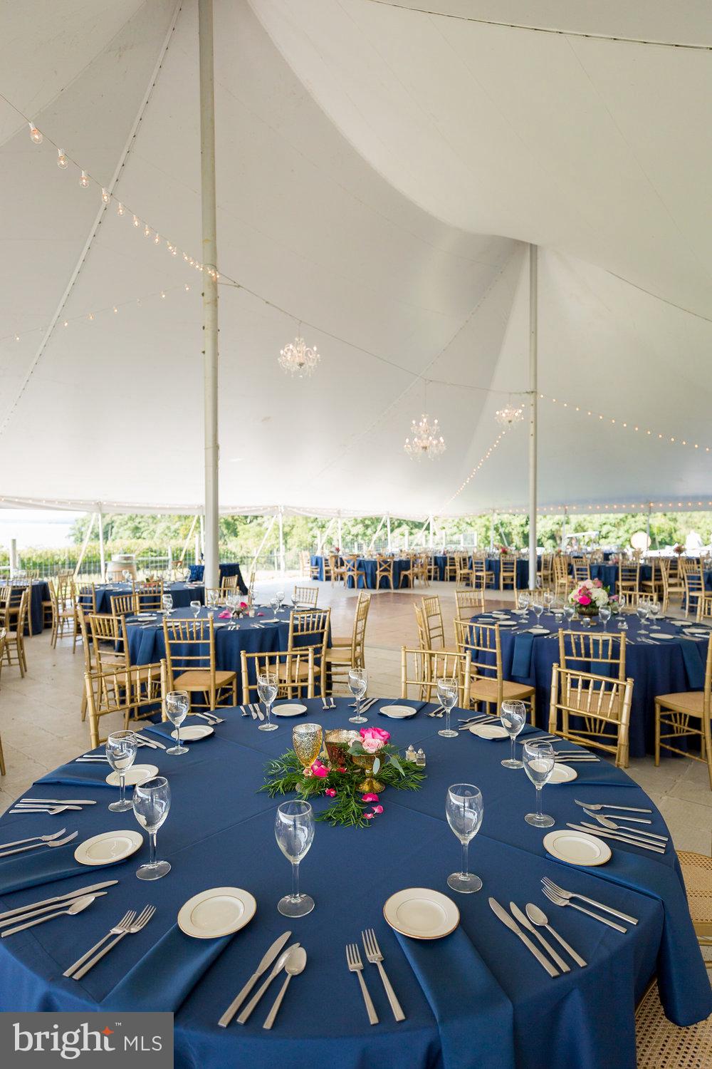 BOHEMIA MANOR - Farm