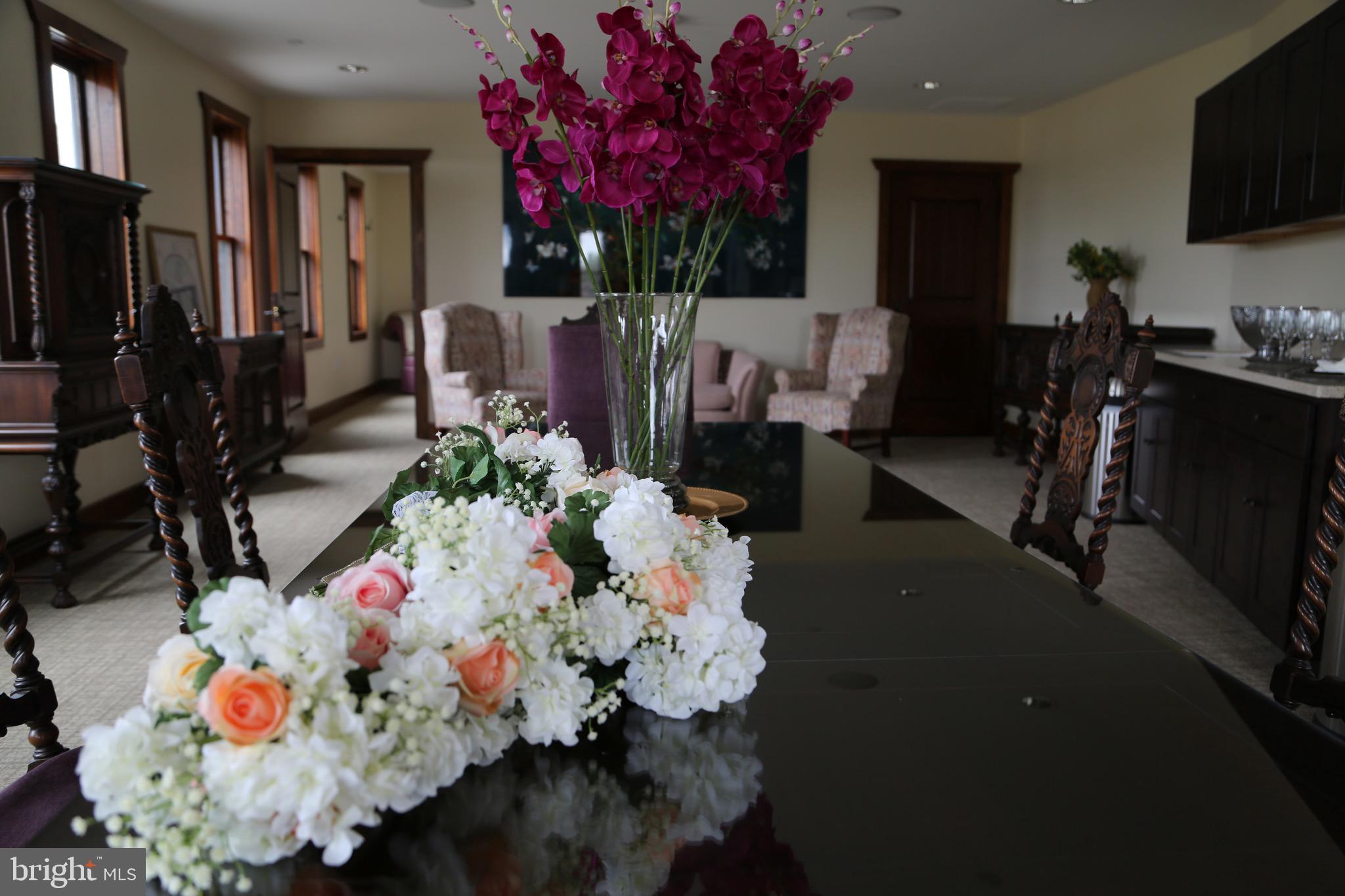 BOHEMIA MANOR - Farm