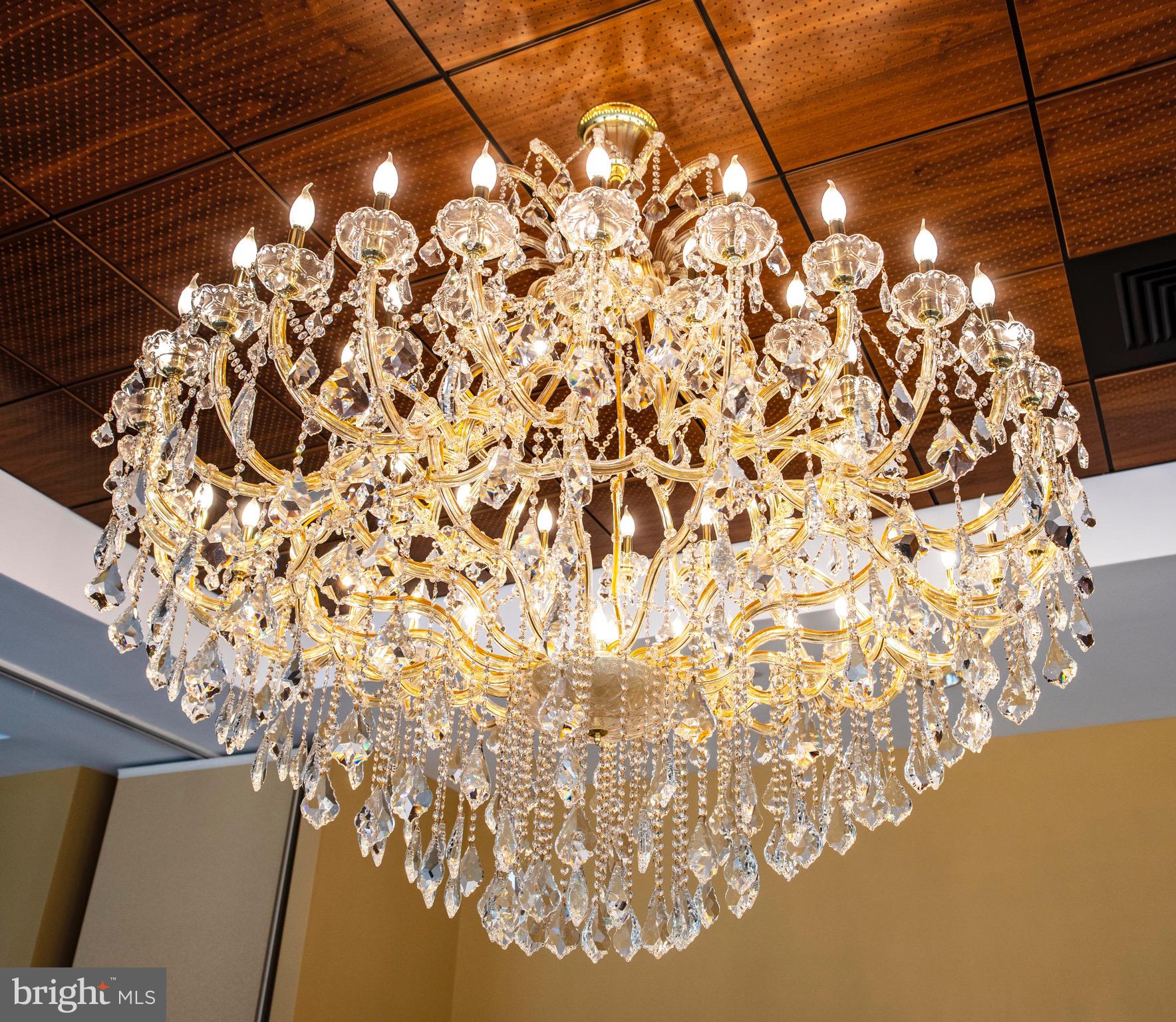 BOHEMIA MANOR - Farm