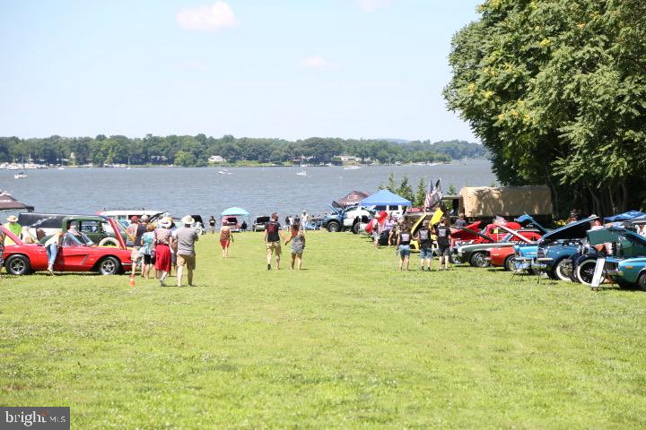 BOHEMIA MANOR - Farm