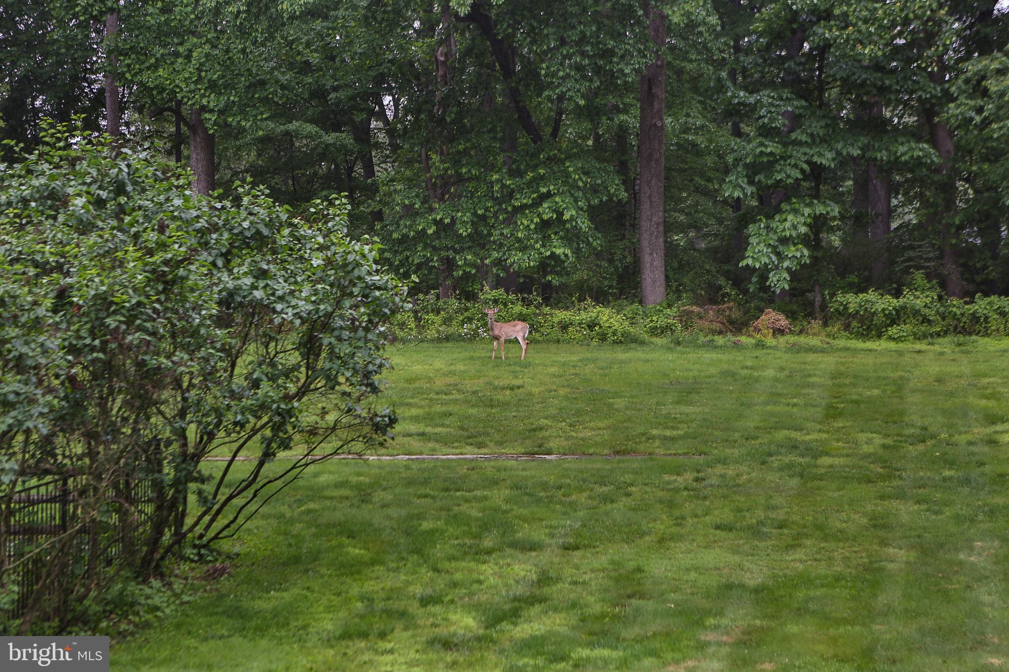 BUCKSHIRE VALLEY - Residential