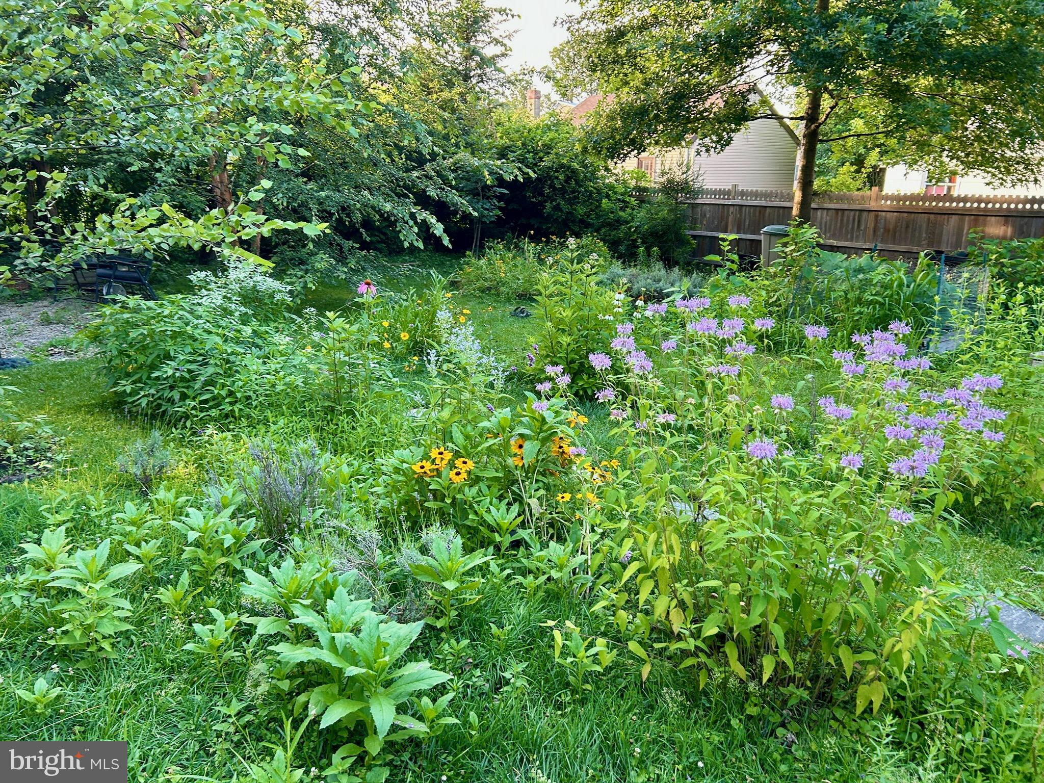 GLENSIDE - Residential