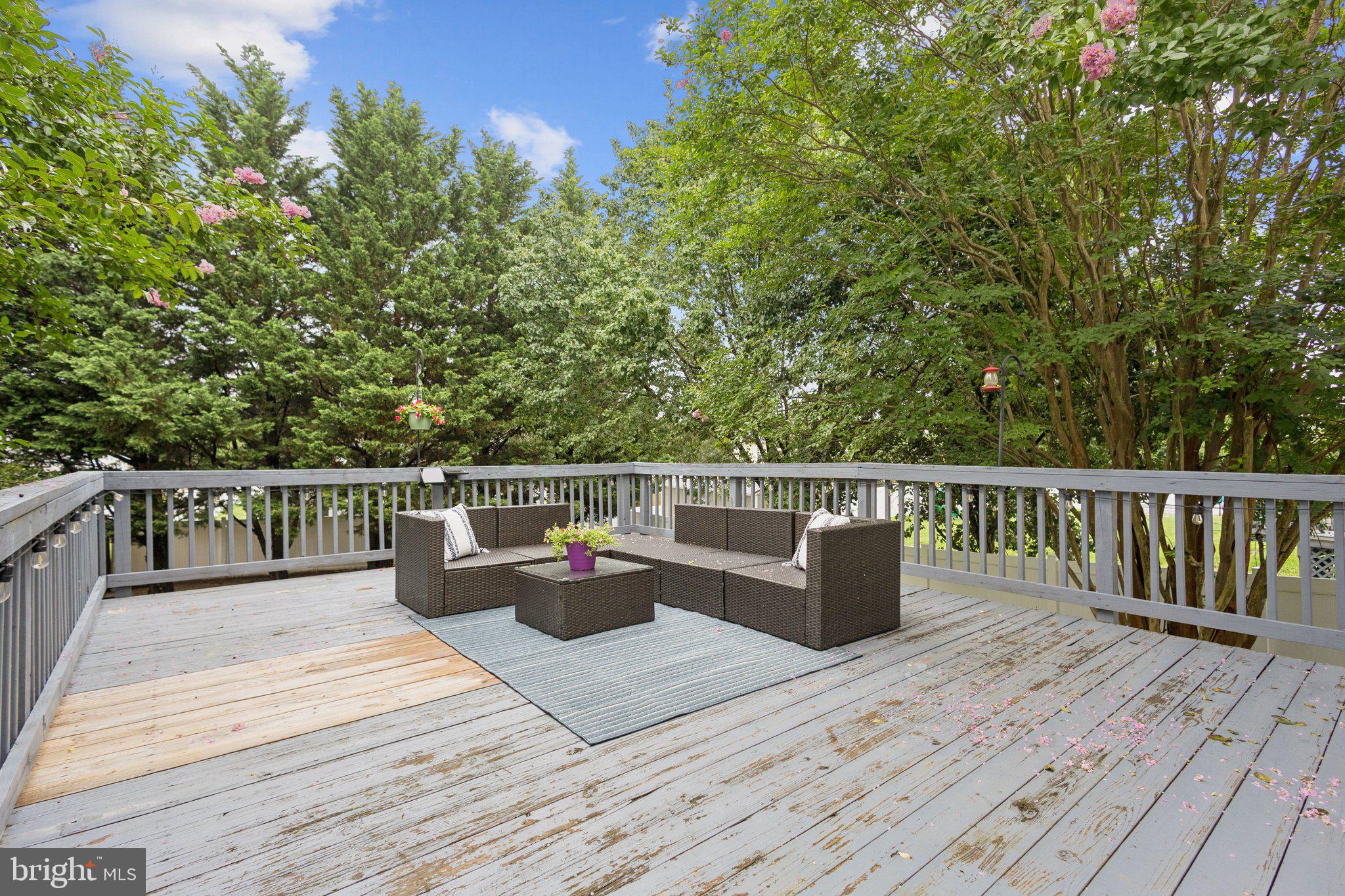 MAPLE GROVE - Residential