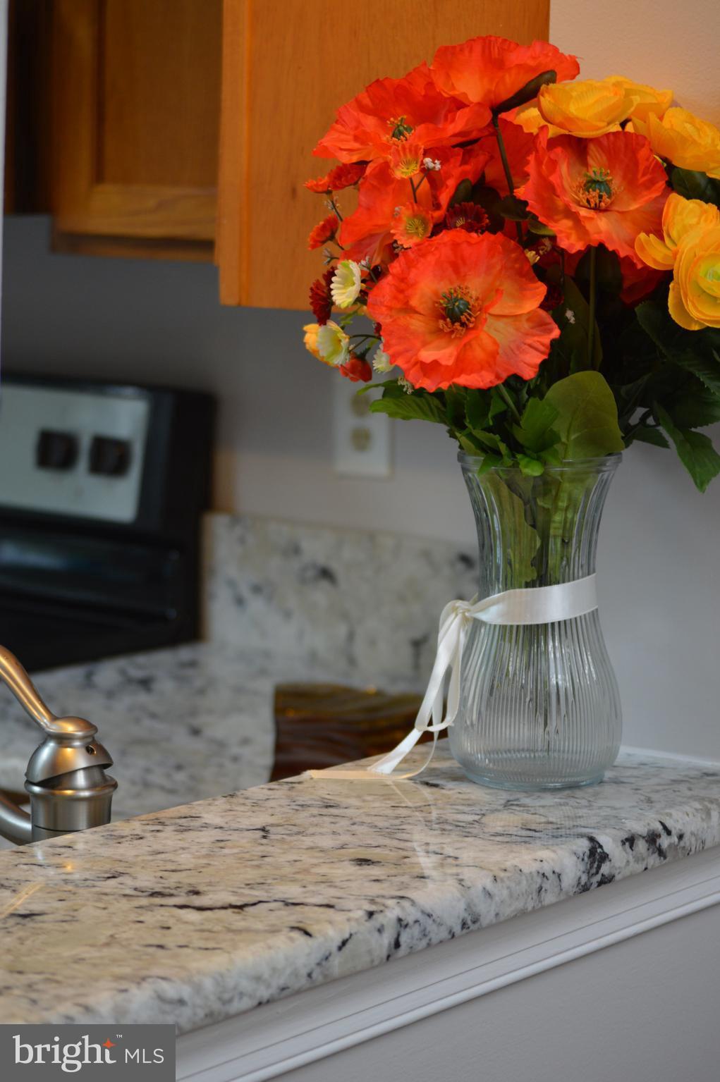 ASHBURN FARM - Residential