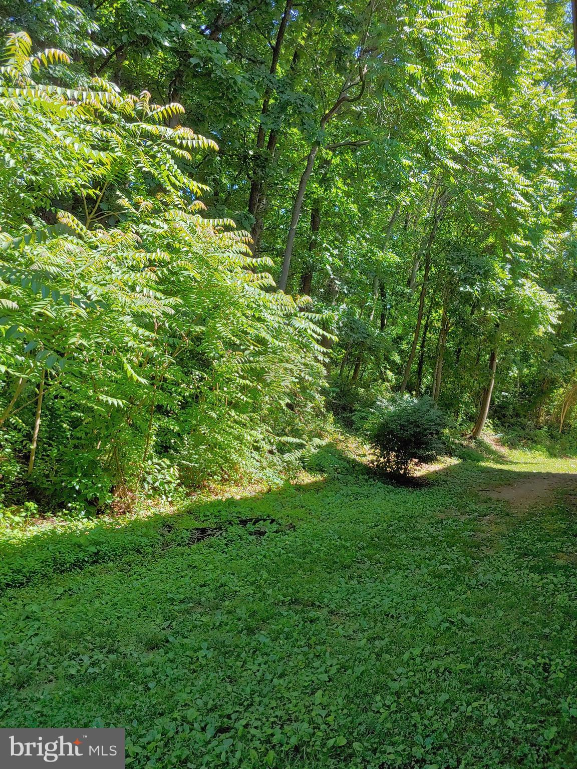 BRIGHT OAKS - Residential