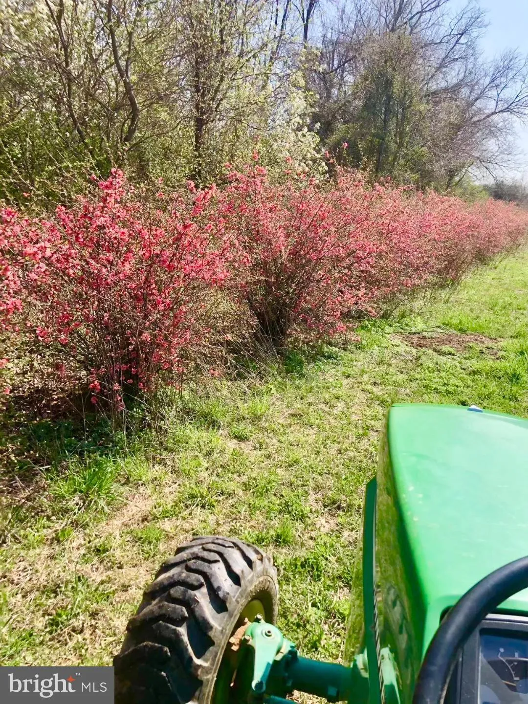 Chesterfield, New Jersey 08515, United States, ,Residential,Active,42859