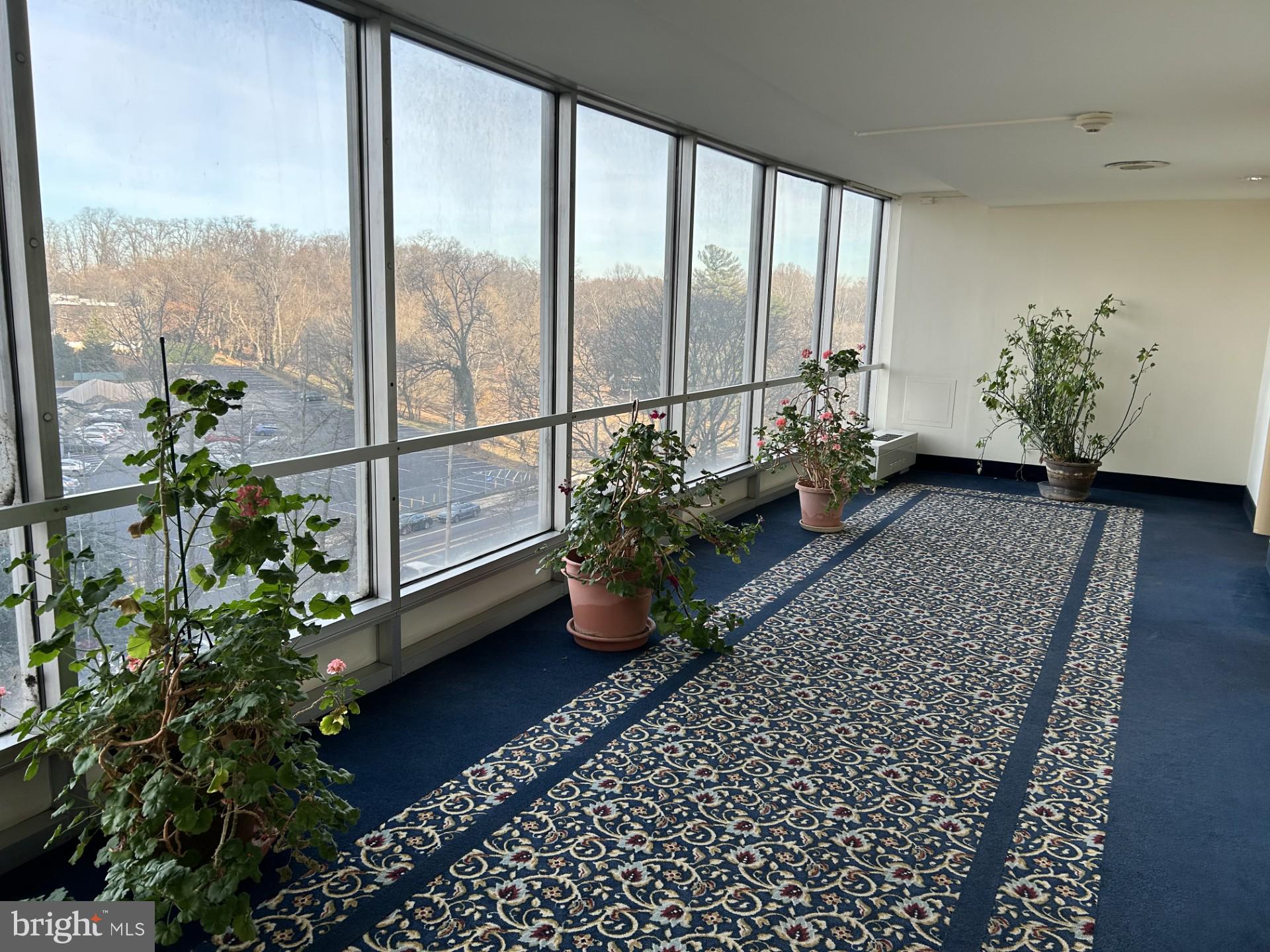 WYNNEFIELD HEIGHTS - Residential