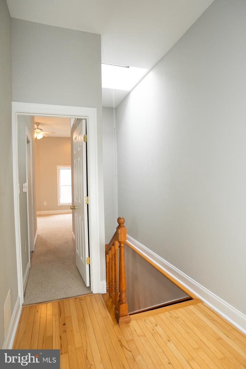 PATTERSON PARK - Residential