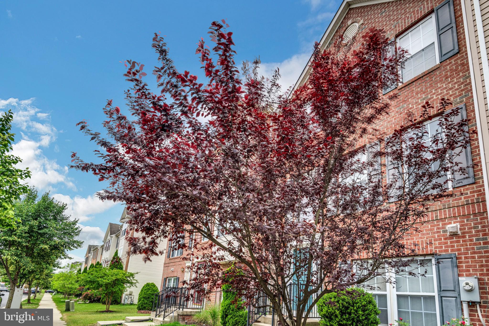 MIRAMAR LANDING - Residential