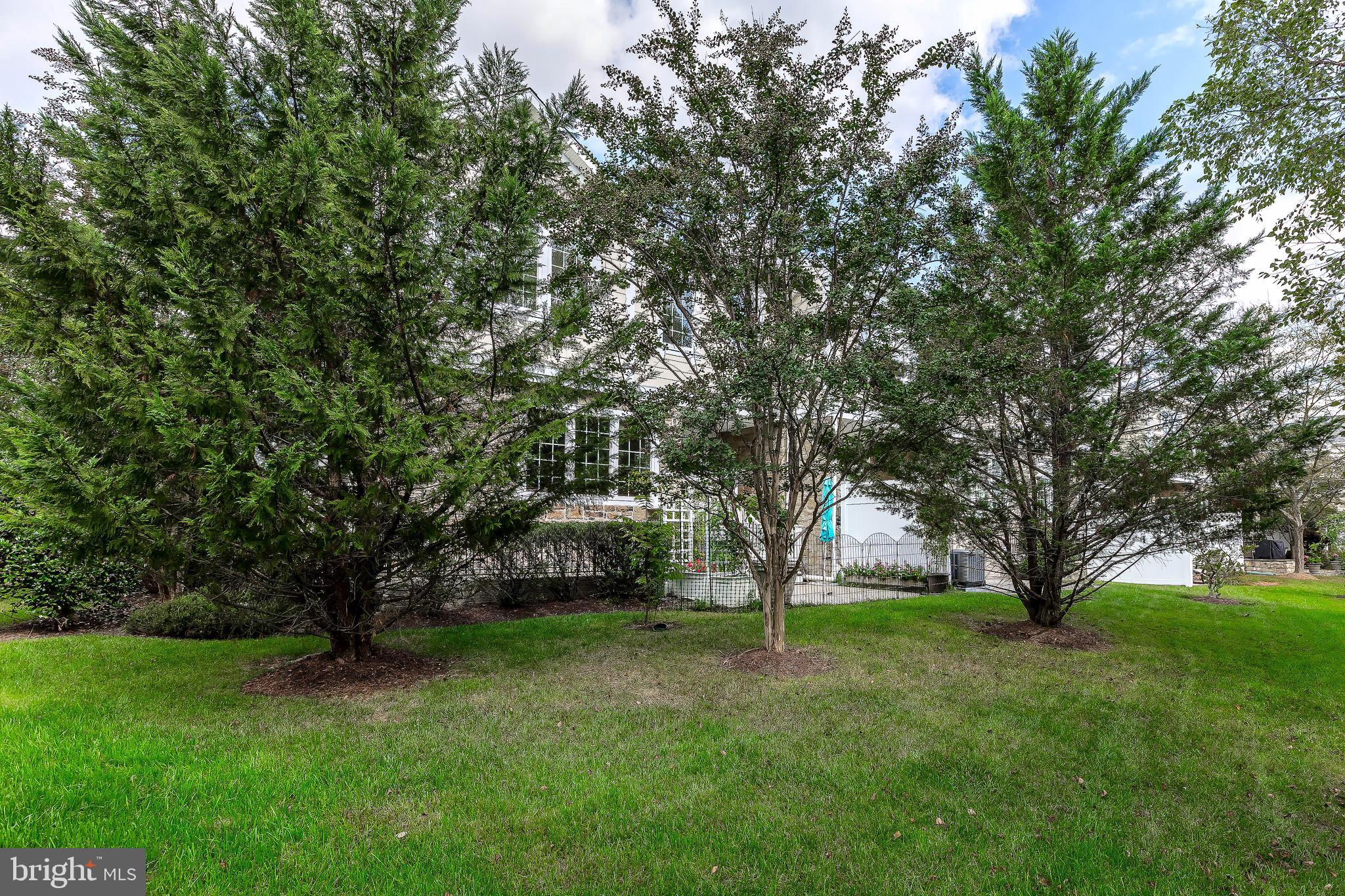VILLAS AT SNOWDEN OVERLOOK - Residential
