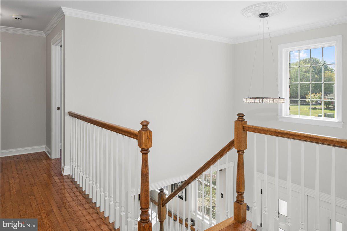 RIDGLEY - Residential