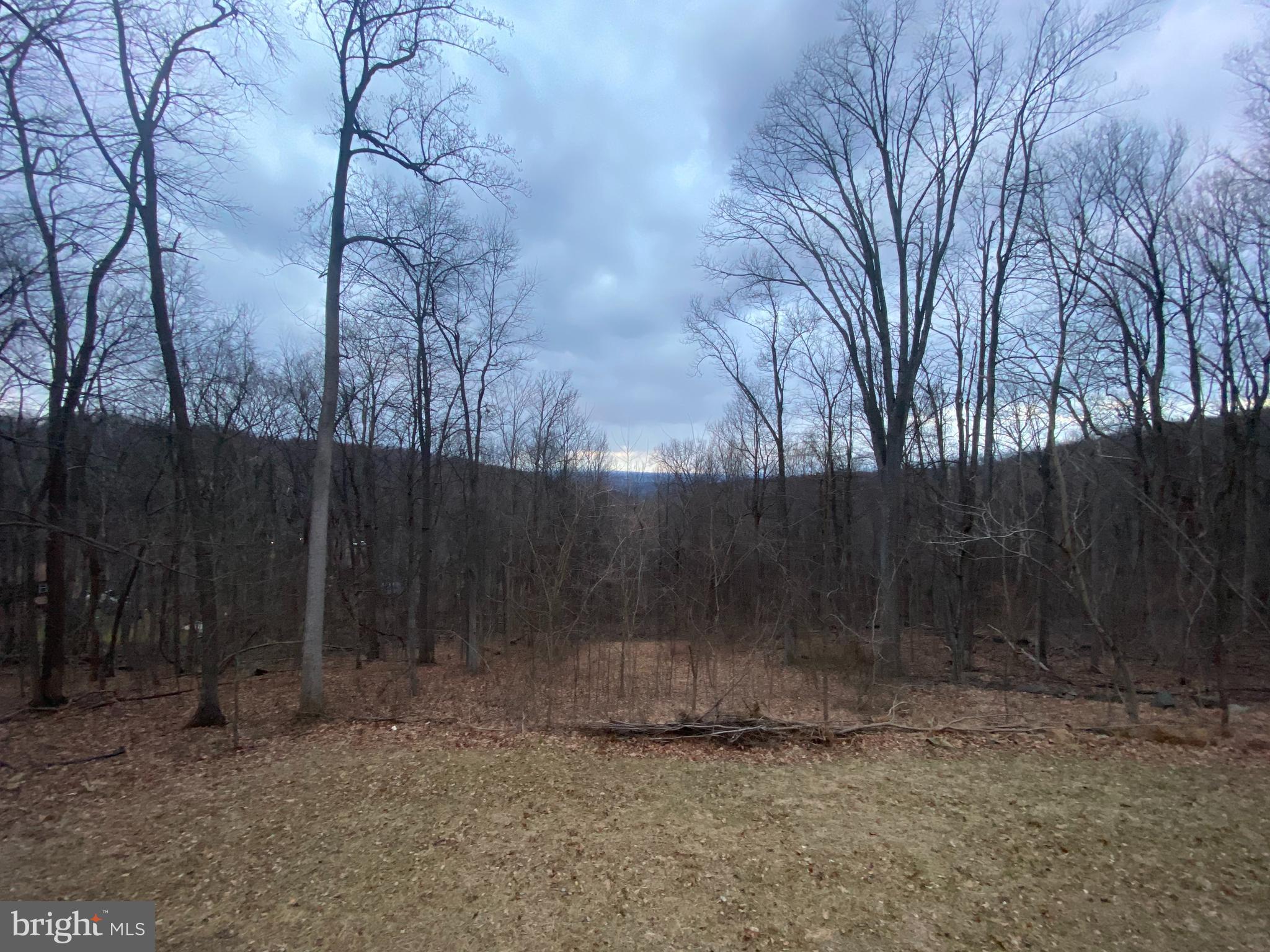 SHEN FARMS MT LAKE - Residential