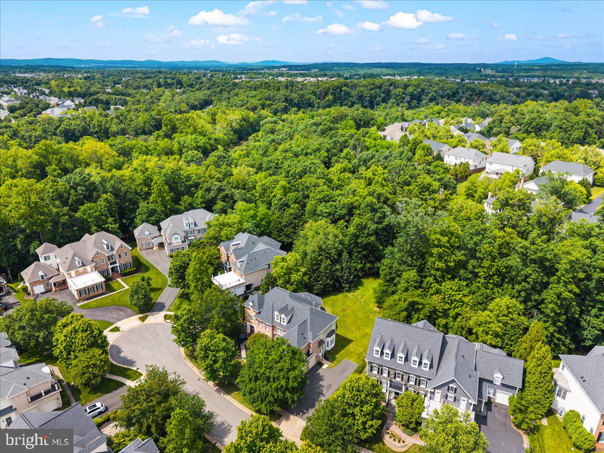 43464 CALPHAMS MILL COURT