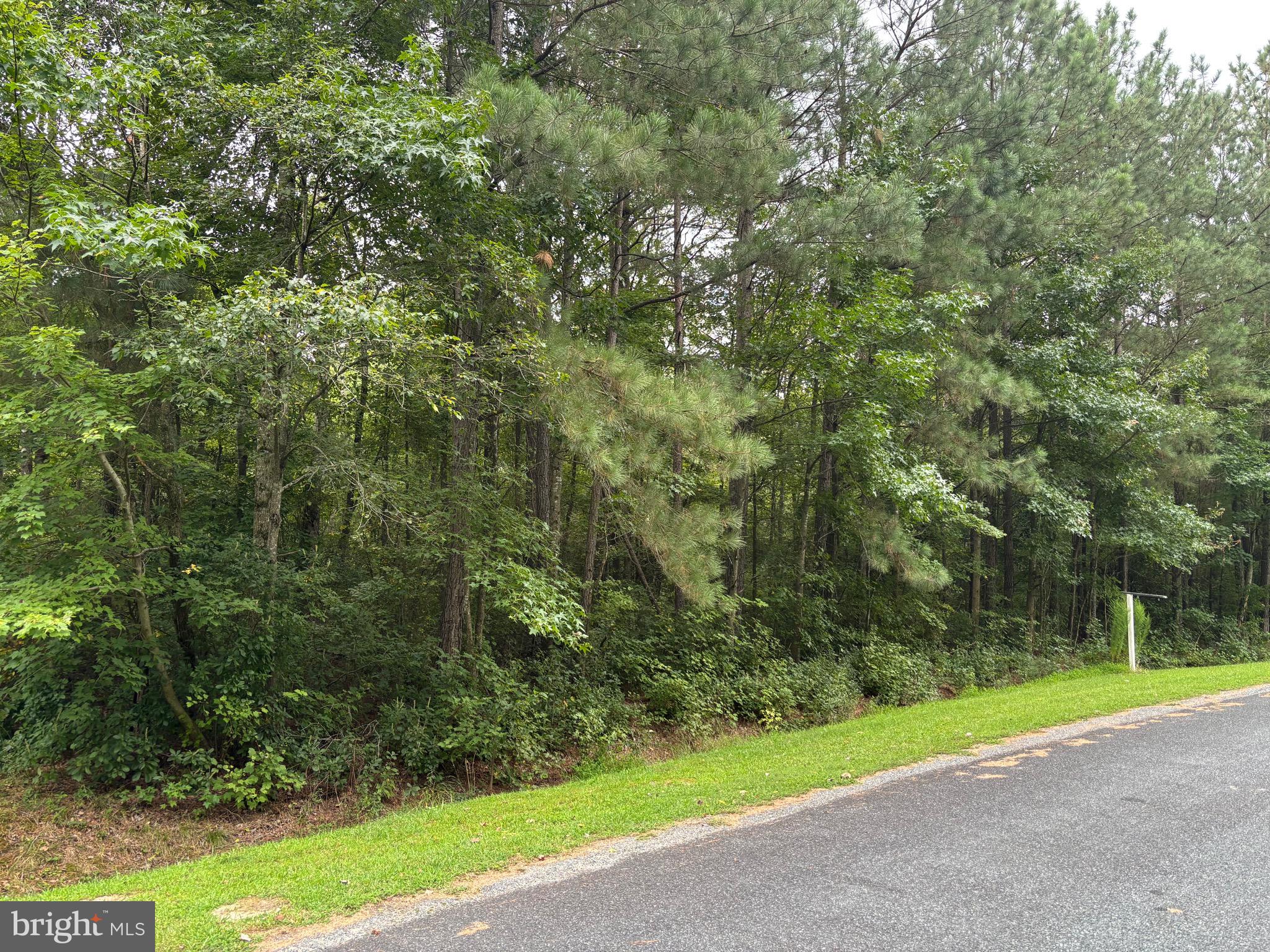 0 WILDWOOD DRIVE