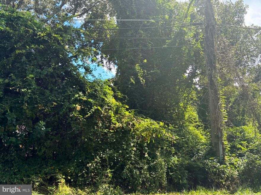 ONLINE AUCTION: This auction takes place on the Ashland Auction Group website bidding platform. Bidding begins 5/19/2026 @ 10:00 AM. Bidding ends 5/21/2026 @ 12:00 PM. The list price is the suggested opening bid. Deposit: $5,000.

This lot of land is located in the Upper Marlboro area within Prince George's County. The property is in close proximity to Rosaryville State Park. The area provides easy access to the major traffic artery, Crain Hwy, connecting to other regions in the city.