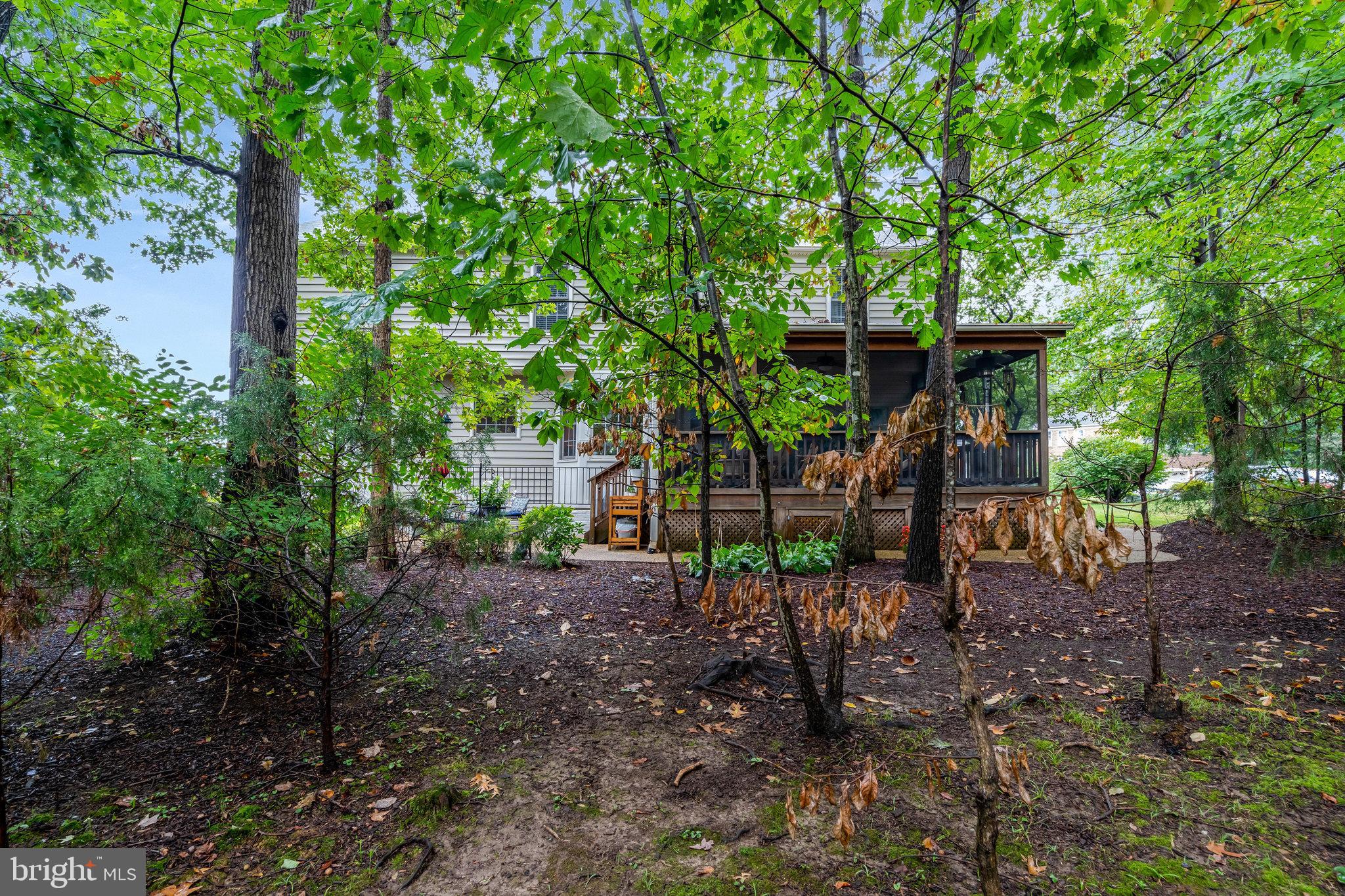 HAYDEN VILLAGE - Residential