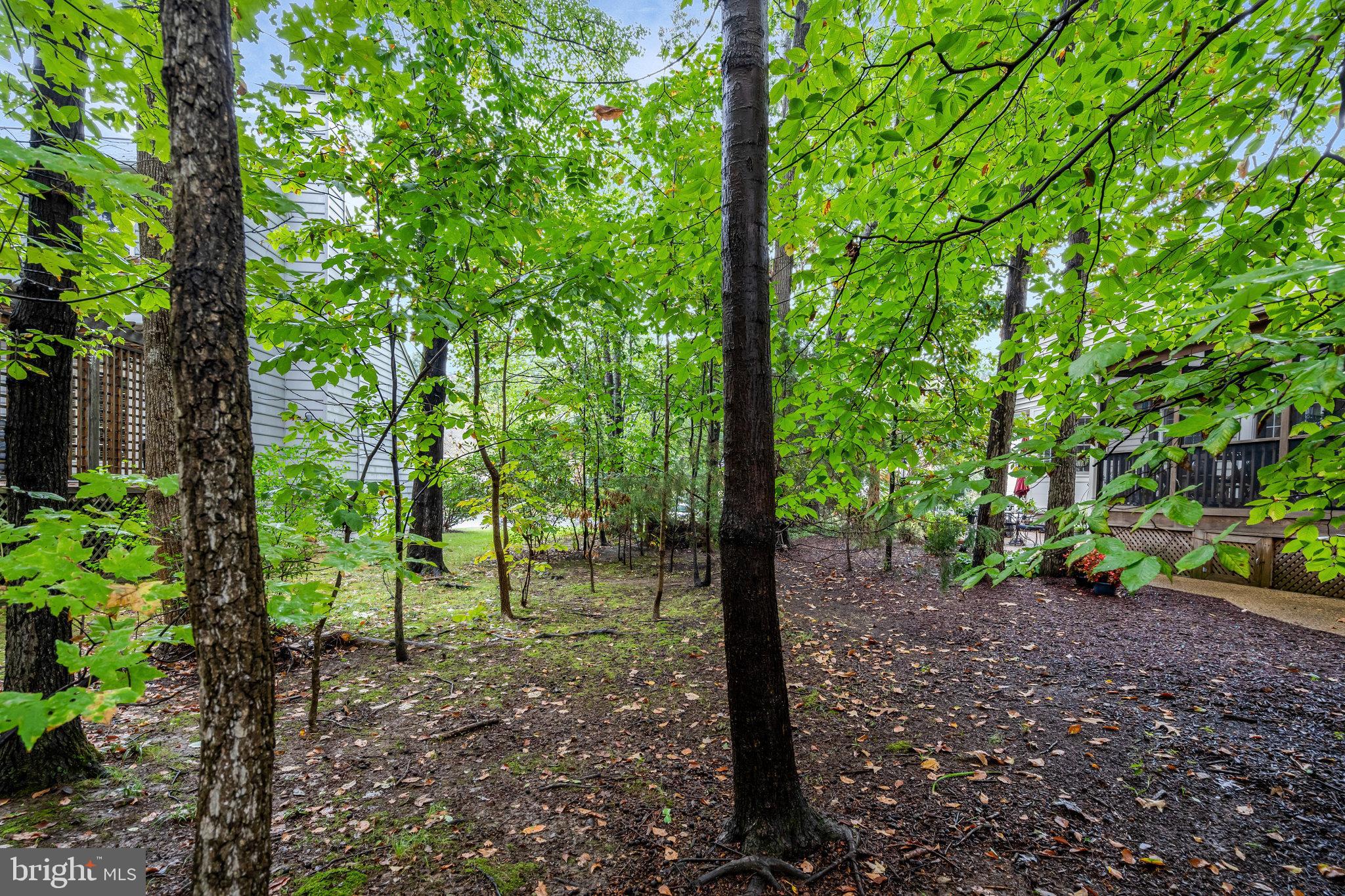 HAYDEN VILLAGE - Residential