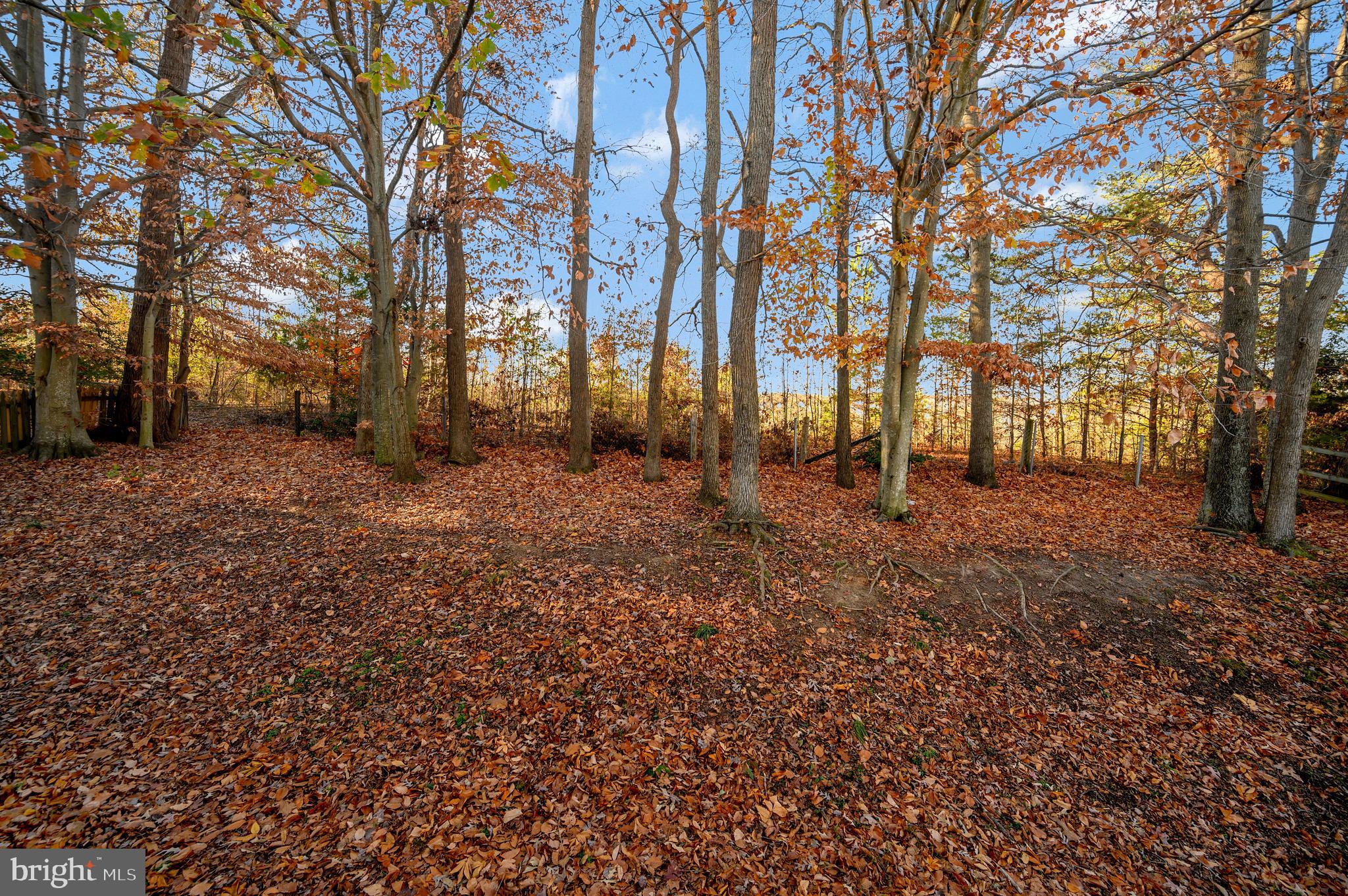 WILLOW OAKS - Residential