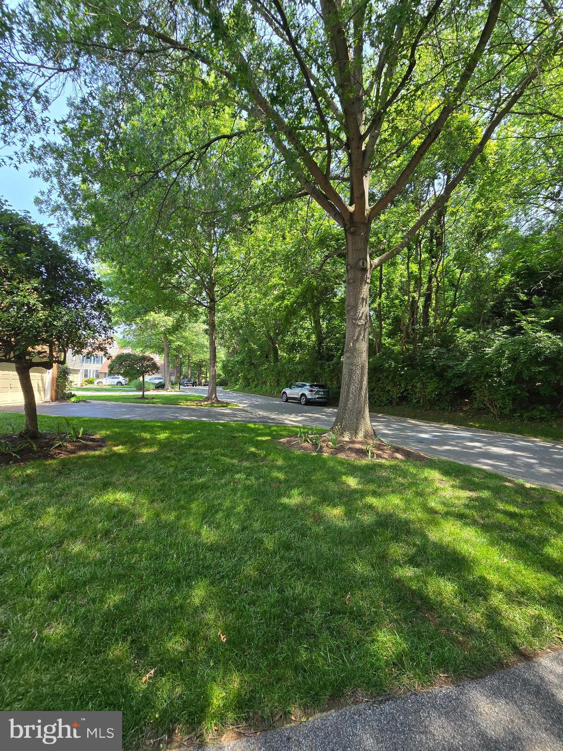 MILLS AT ROSE VALLEY - Residential