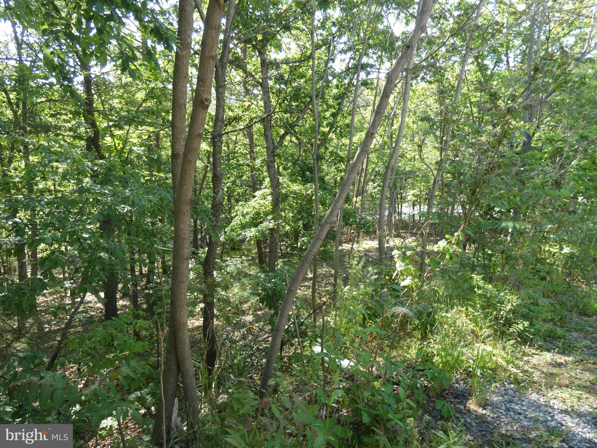 BRUSHY RUN - Residential