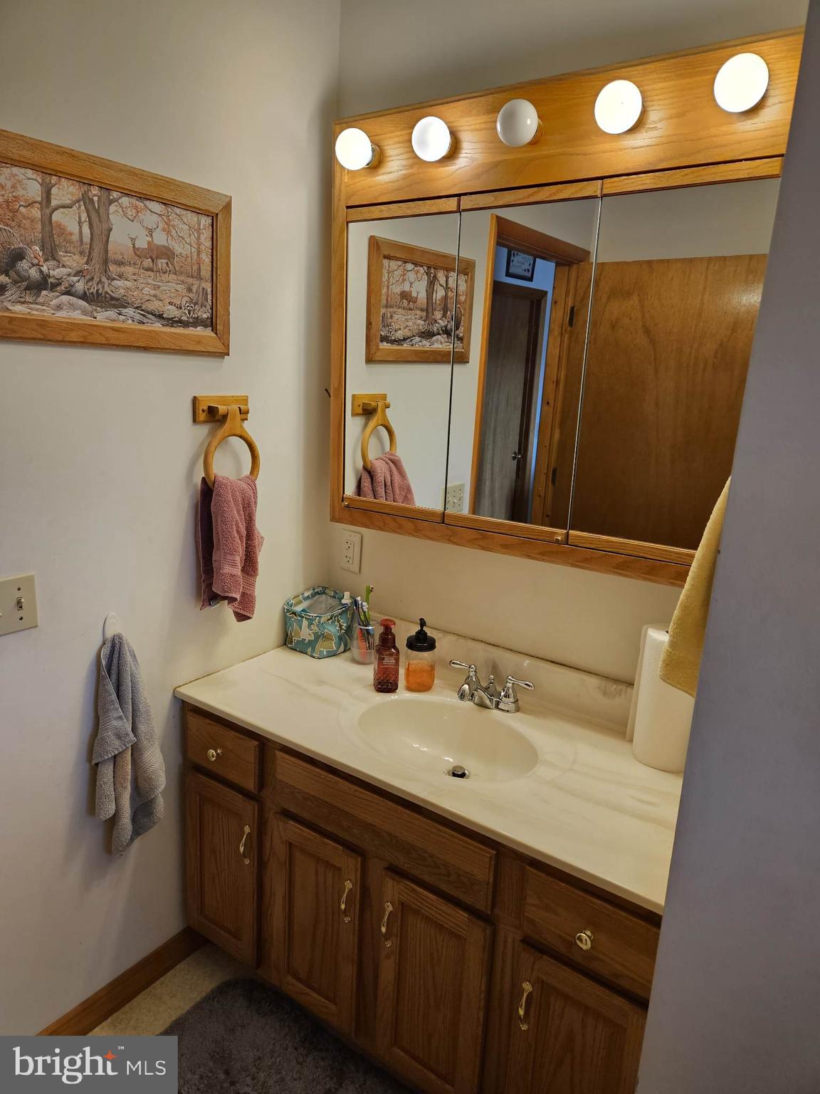 BRUSHY RUN - Residential