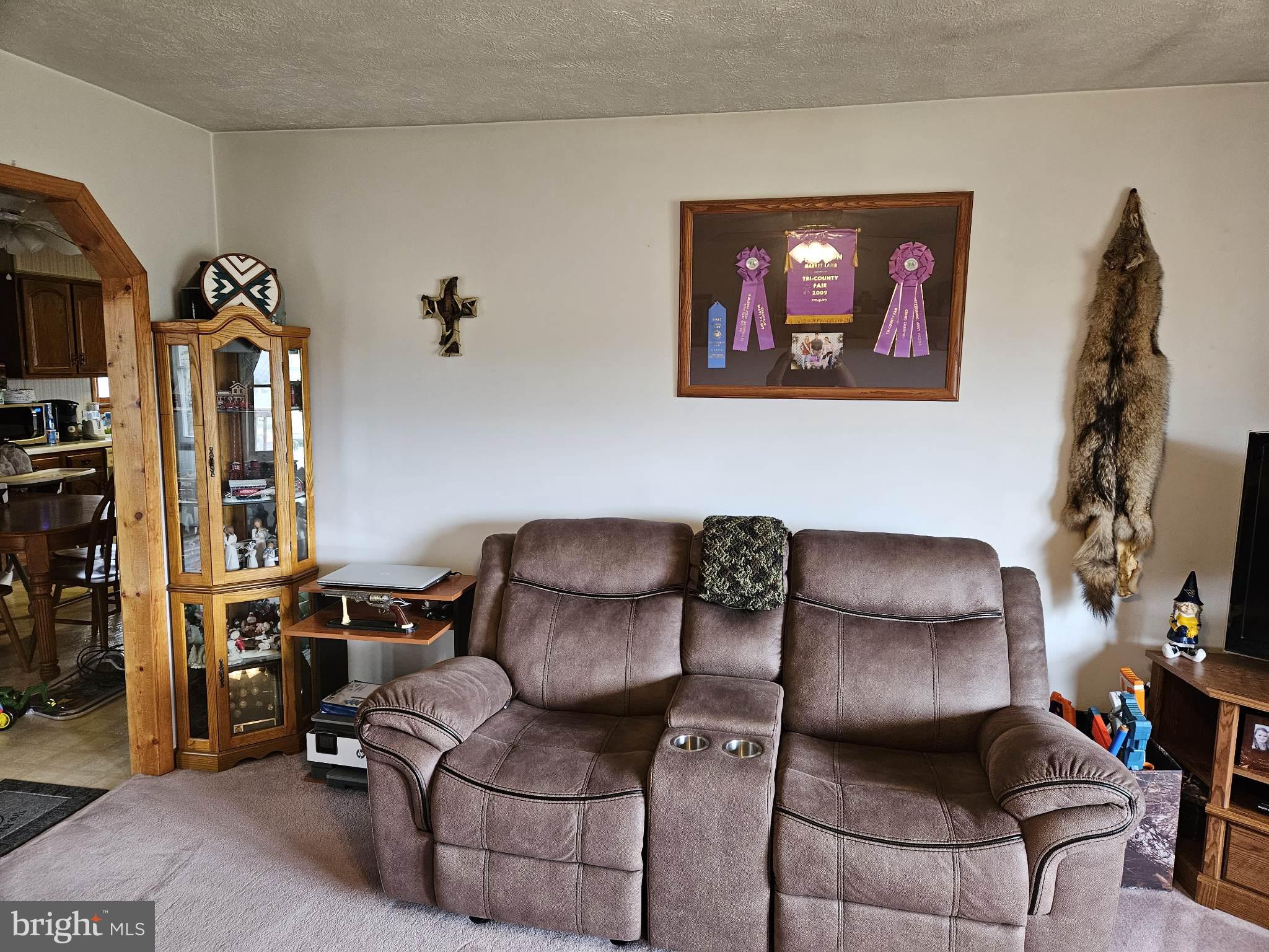 BRUSHY RUN - Residential