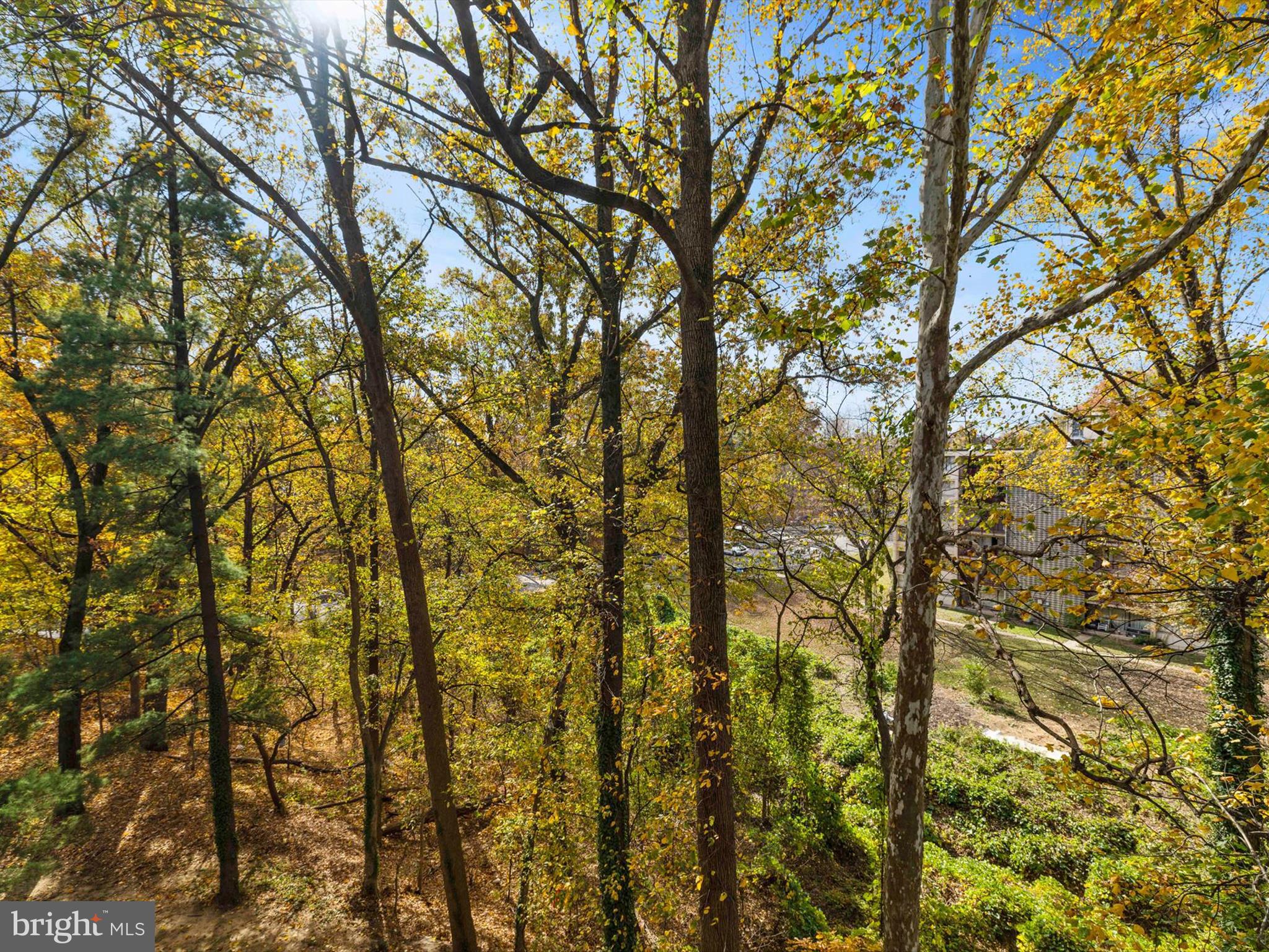 PRESIDENTIAL PARK - Residential