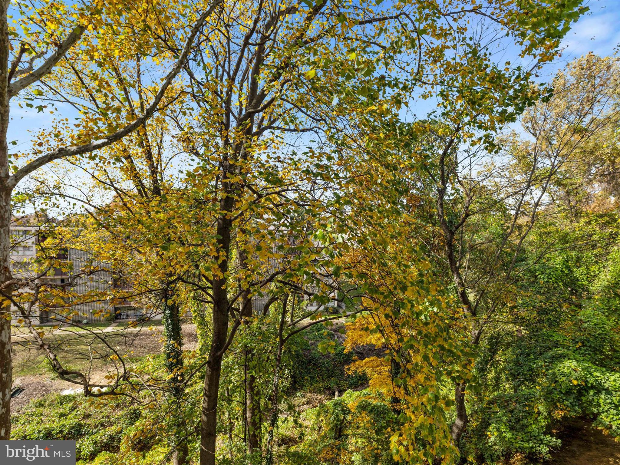 PRESIDENTIAL PARK - Residential