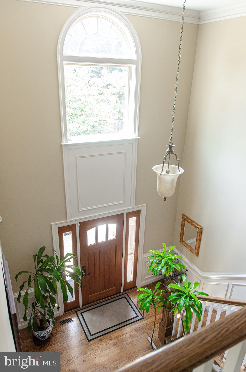 ALEXANDRIA - Residential