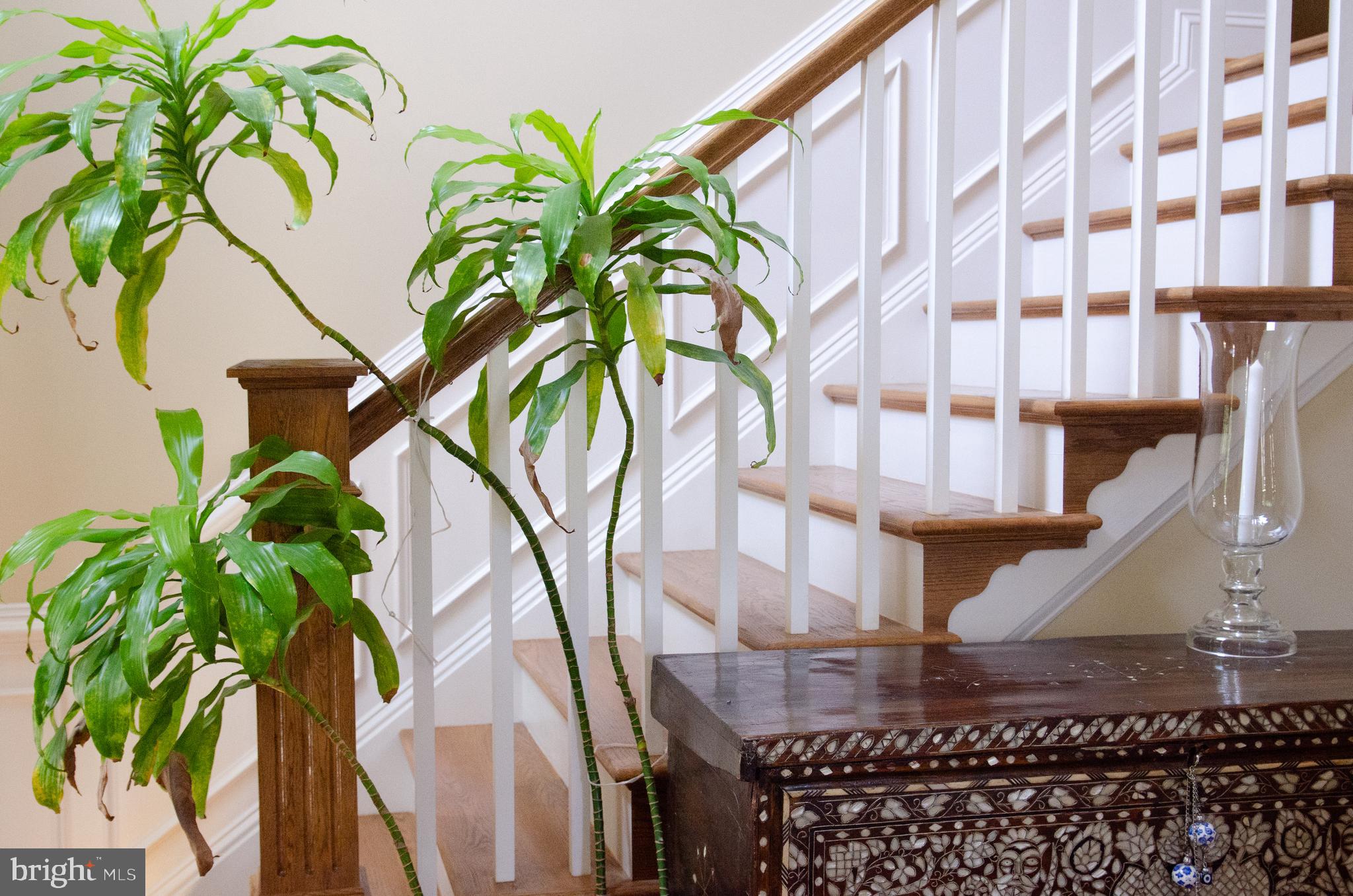 ALEXANDRIA - Residential