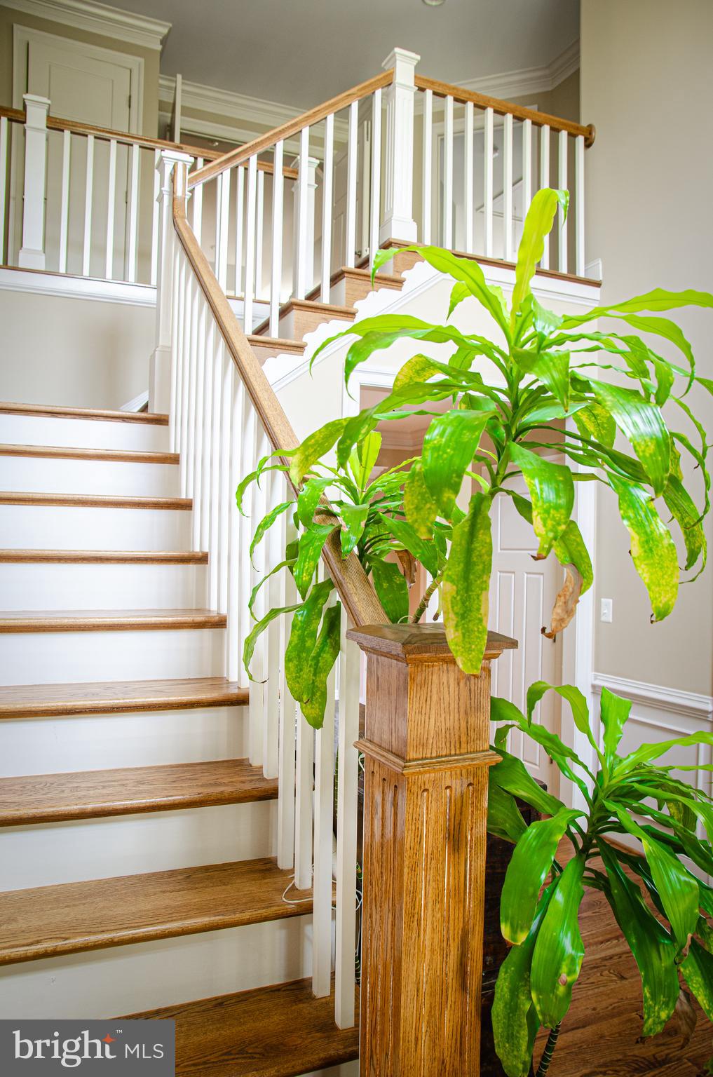 ALEXANDRIA - Residential