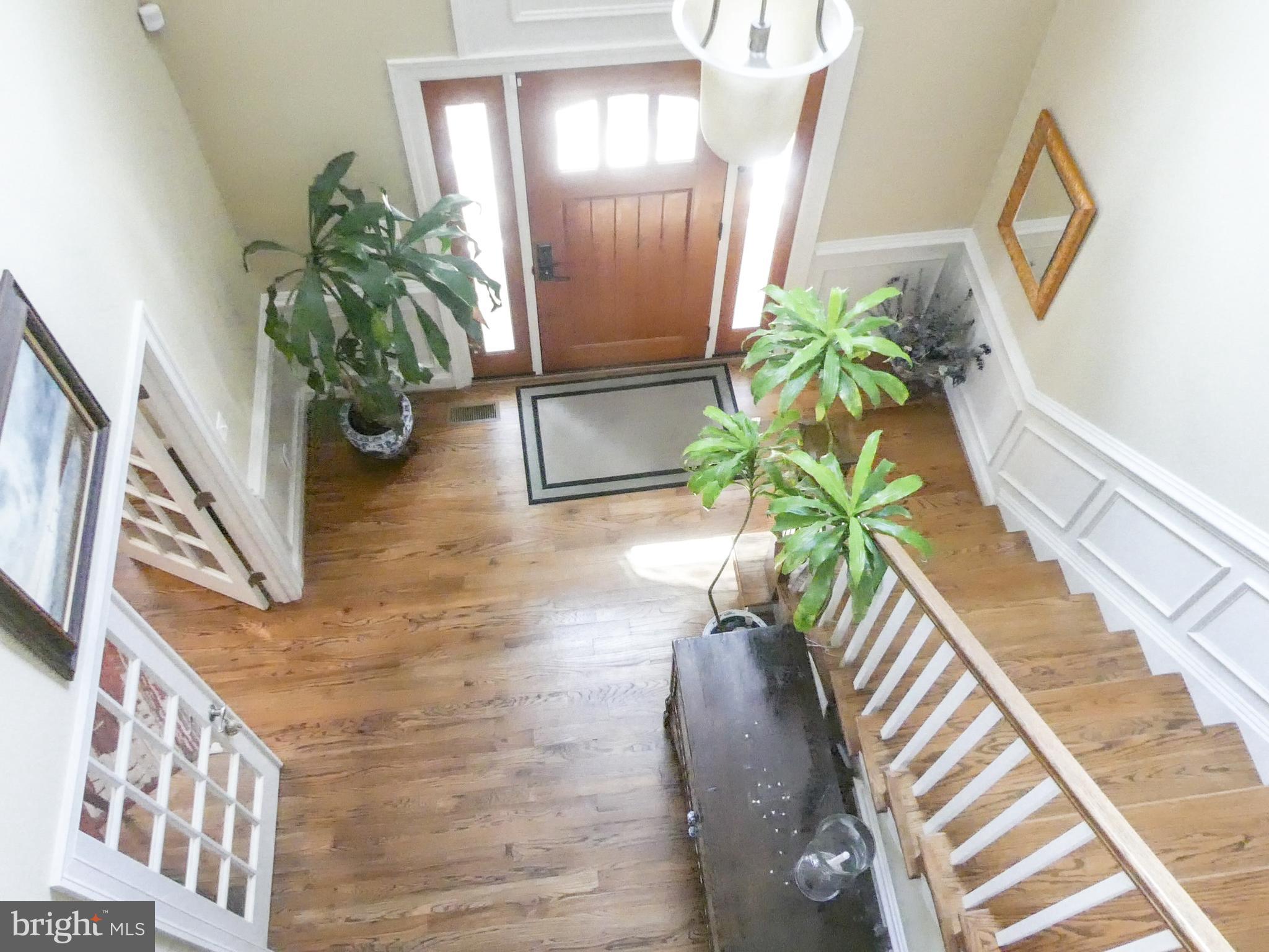 ALEXANDRIA - Residential