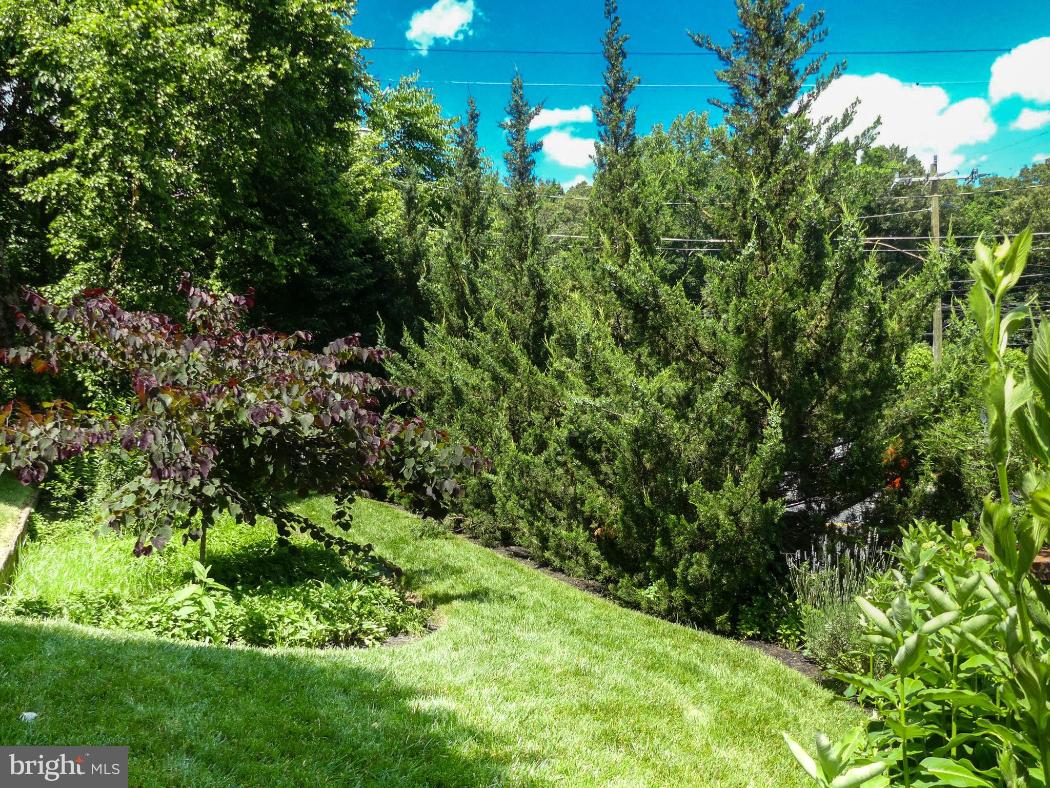 ALEXANDRIA - Residential