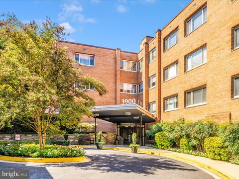 3900 TUNLAW ROAD NW 613 WASHINGTON DC 20007