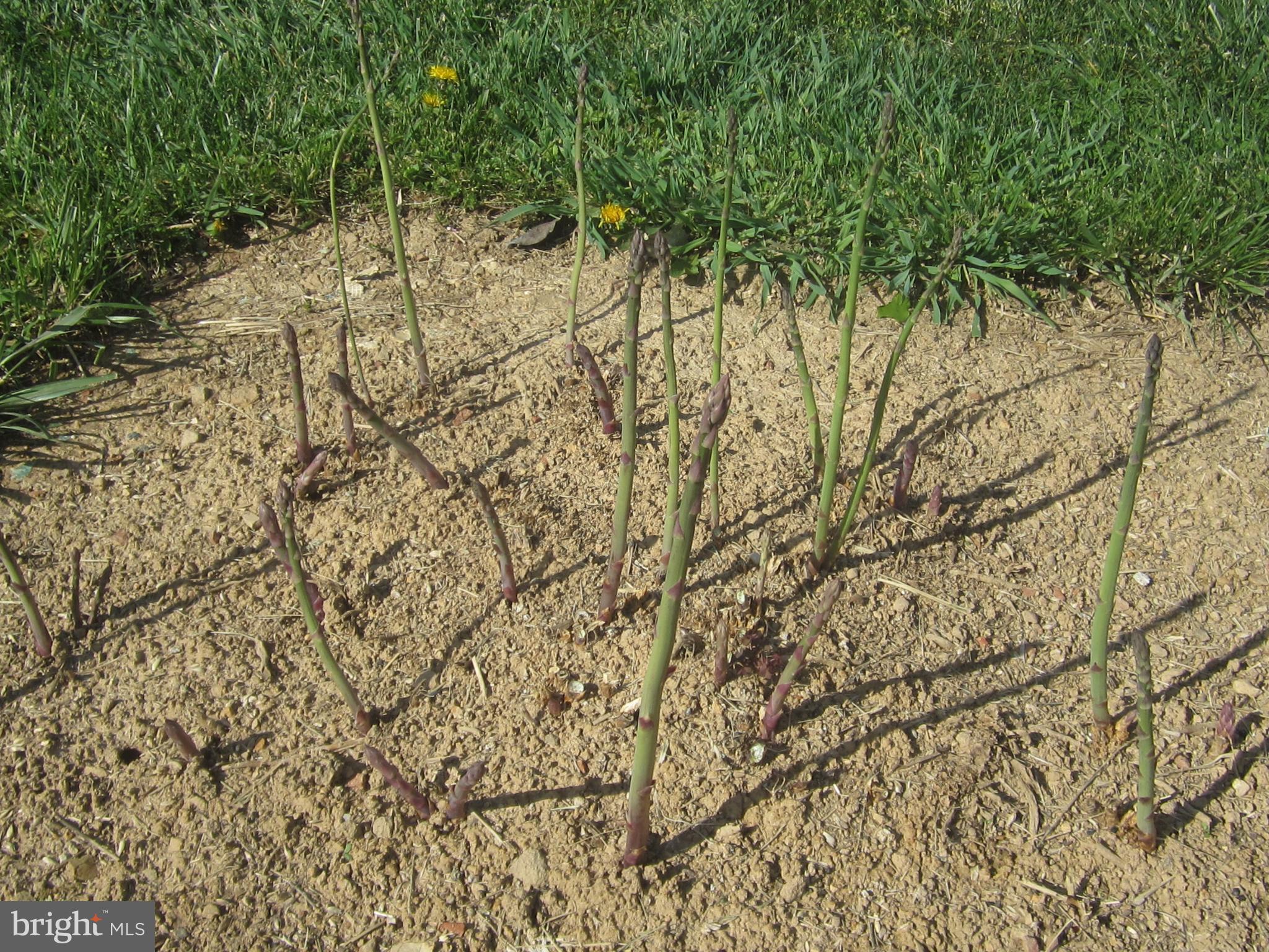 FAIRFIELD - Residential