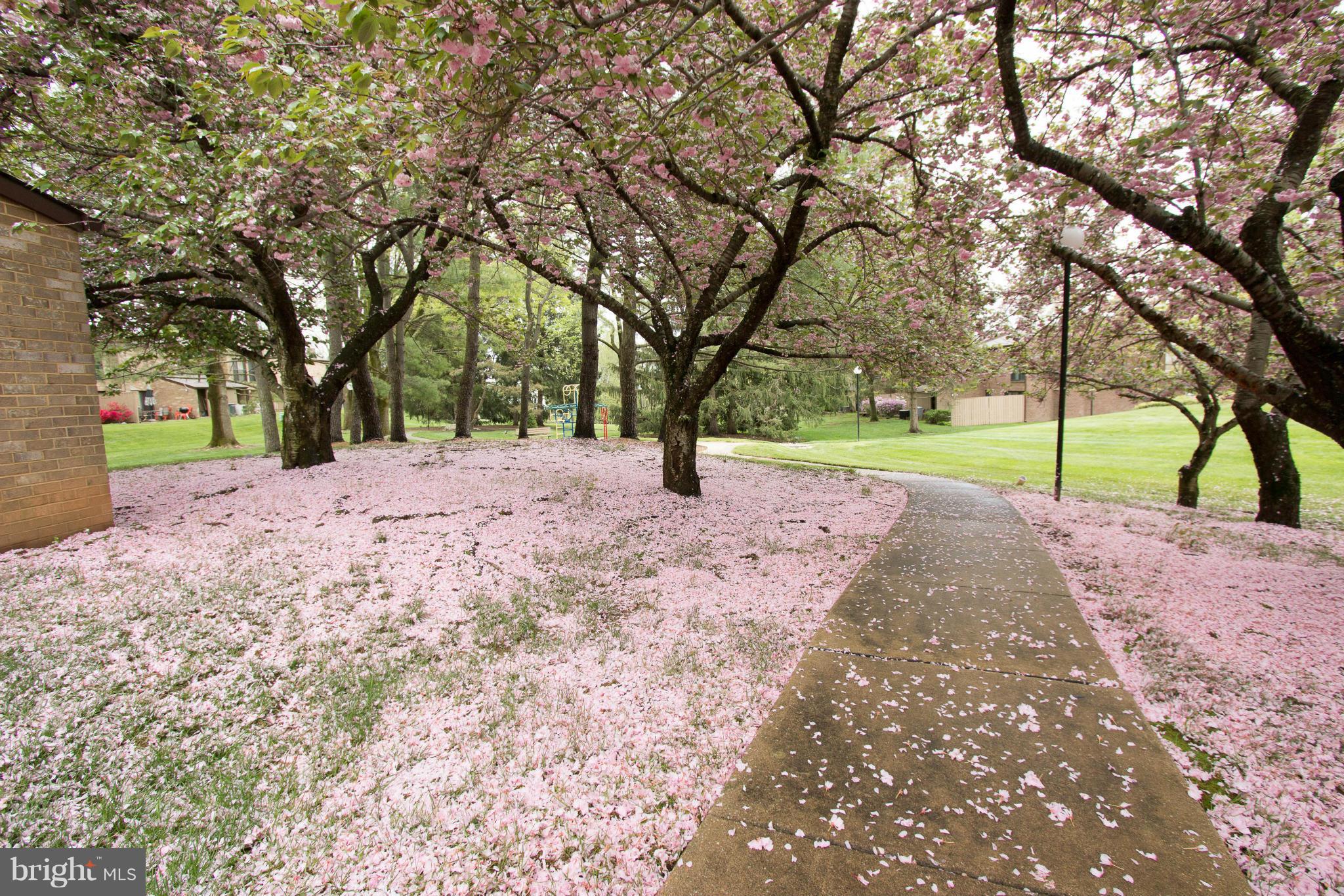 TOPFIELD - Residential