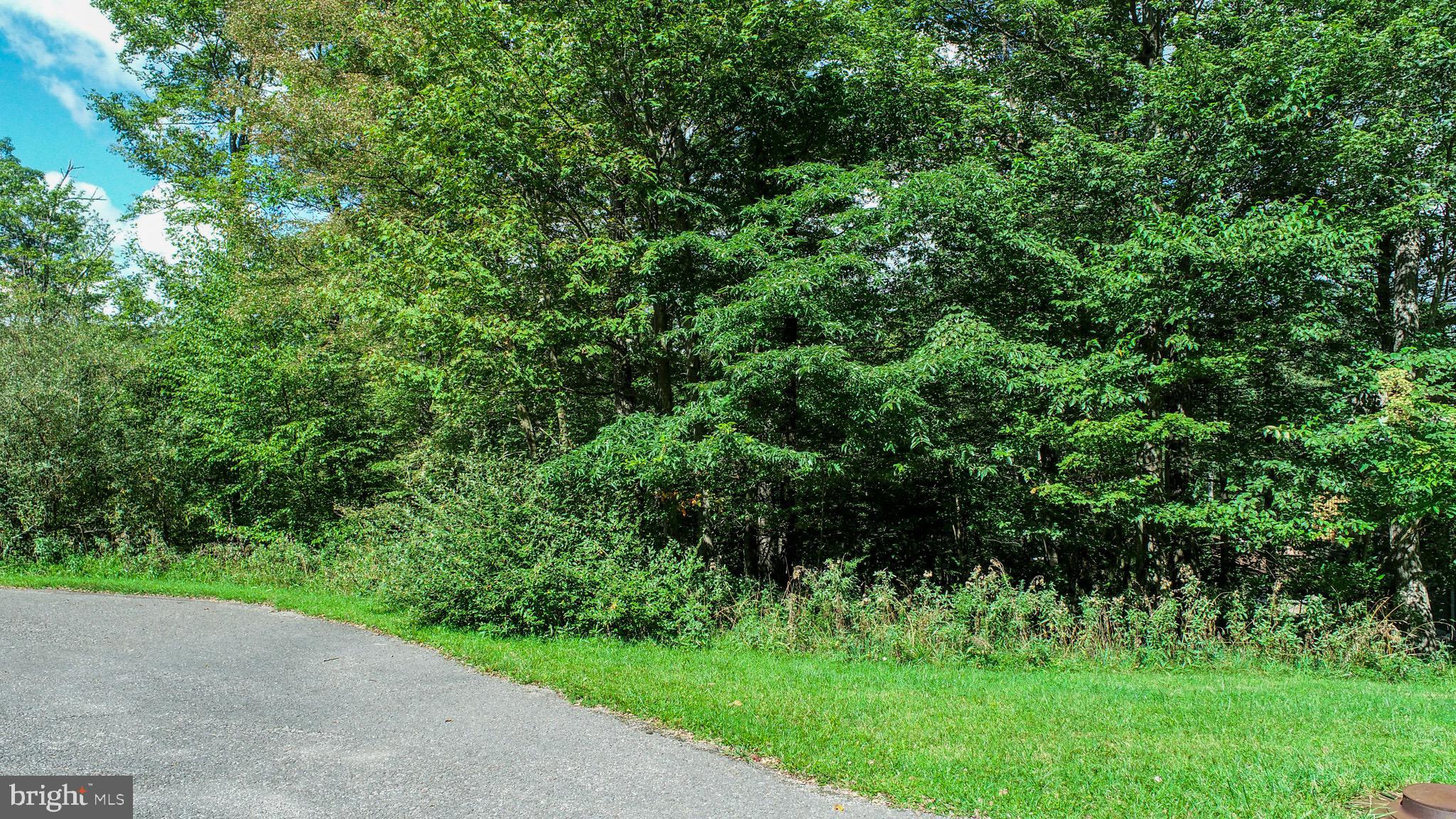 RIDGEVIEW VALLEY - Land