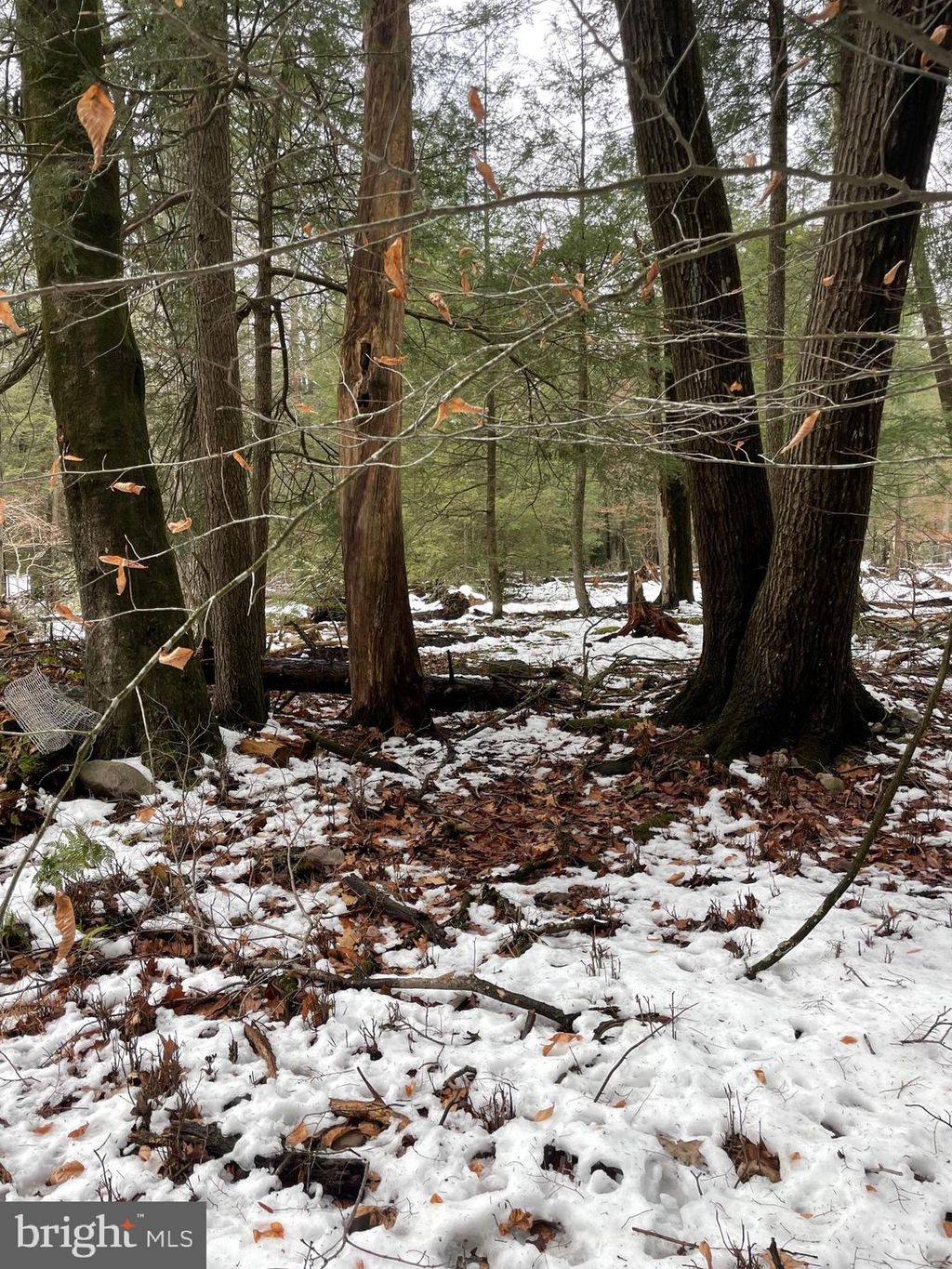 Photo of 166 Lakeside Lane, ALBRIGHTSVILLE, PA 18210 (MLS # PACC2007226)