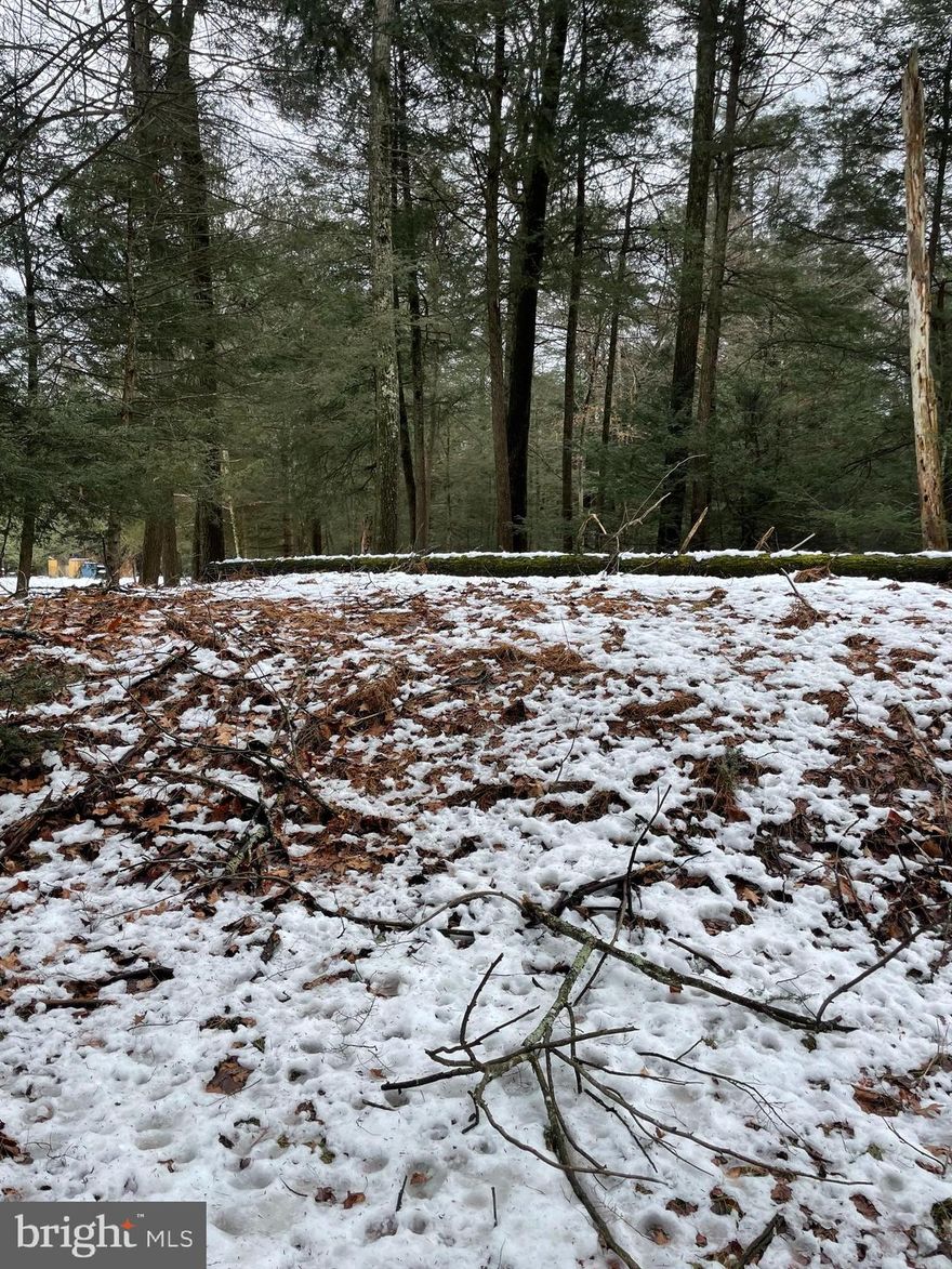 This cleared .47-acre lot in the gated, amenity-rich community of Holiday Pocono is ready for your vision. Whether you're planning a weekend getaway or a full-time home, much of the groundwork is already done.

A well has been dug and just needs a pump to be operational. The septic system, installed in the 1990s, was designed for a 3-bedroom home. A versatile 2-room shed is also included which is perfect for storage, a workshop, or use during construction.

Enjoy community amenities including two lakes, a private beach, clubhouse, stocked fishing lake, playground, basketball and volleyball courts, picnic areas, and a rifle range.

Located just minutes from Hickory Run State Park and Jack Frost Big Boulder, this property offers the perfect mix of relaxation and year-round outdoor fun.