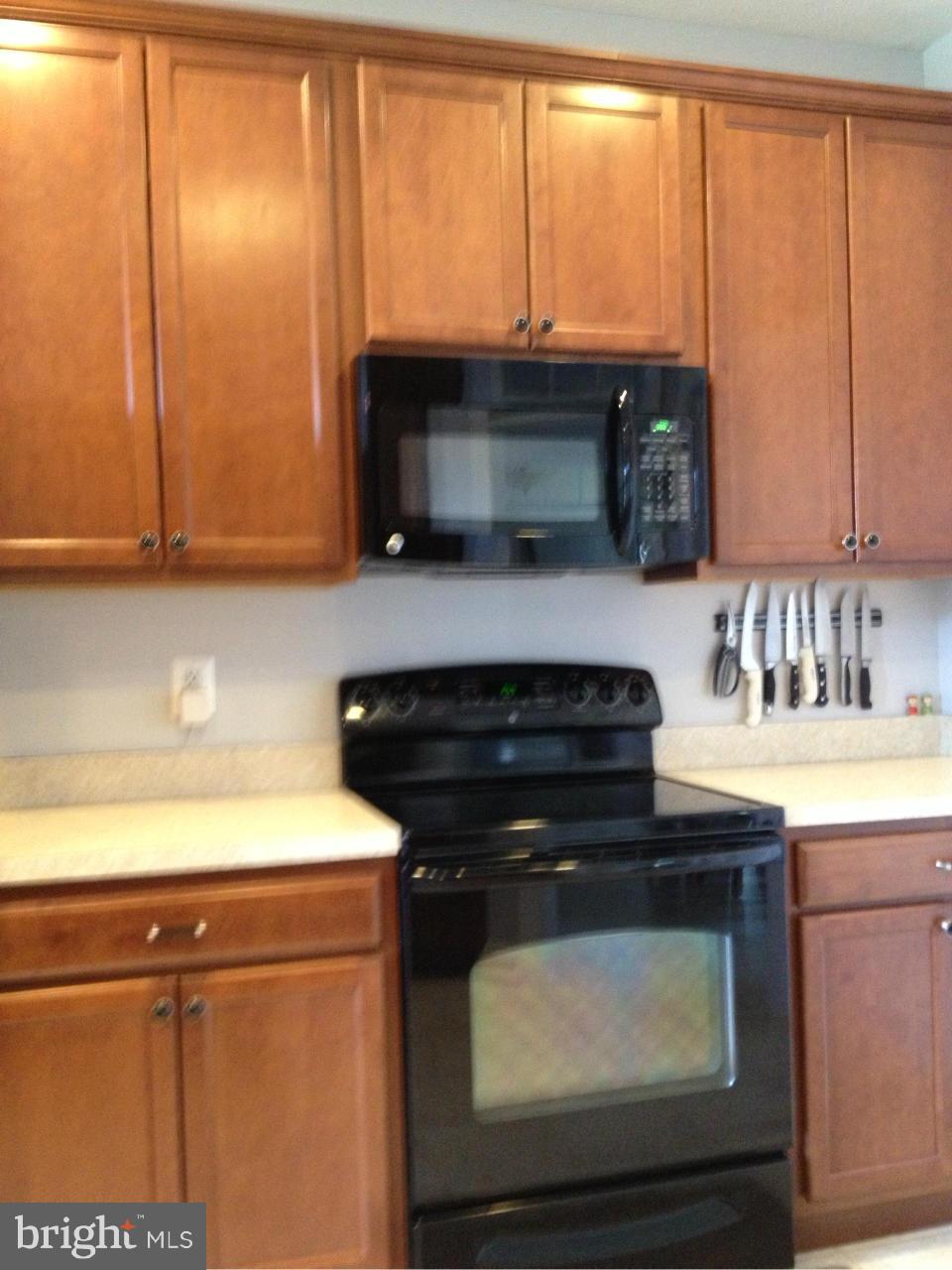 CANTERLEIGH - Residential