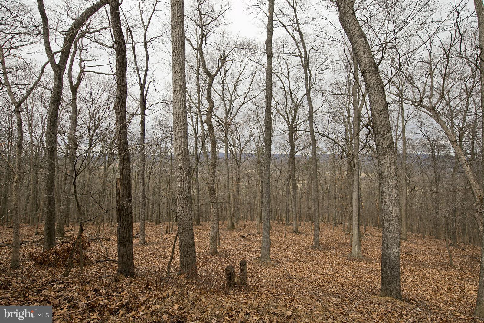 CRESSEN RUN - Residential