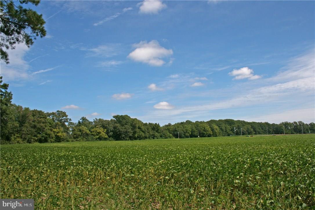 NONE AVAILABLE - Land